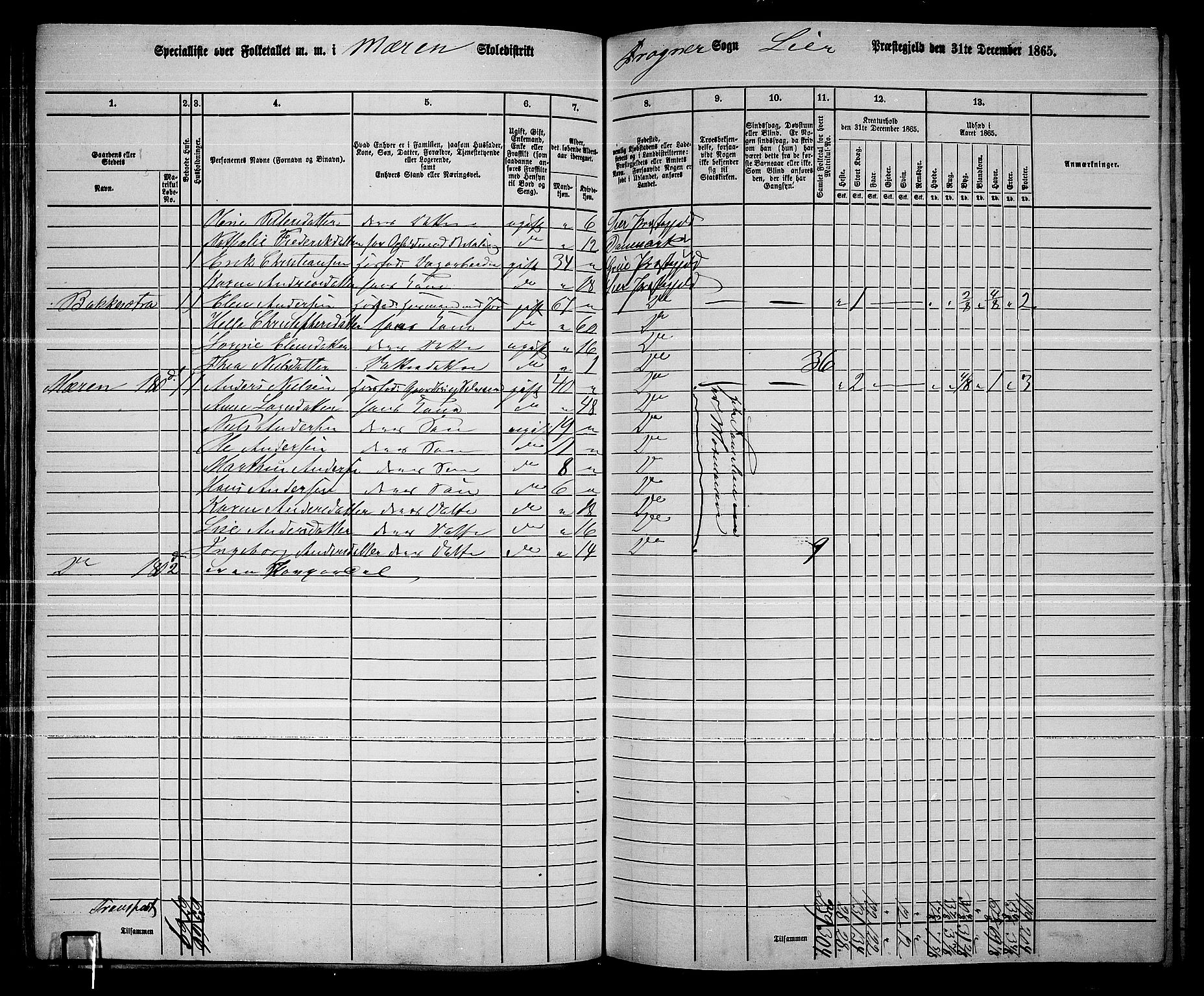 RA, 1865 census for Lier, 1865, p. 104