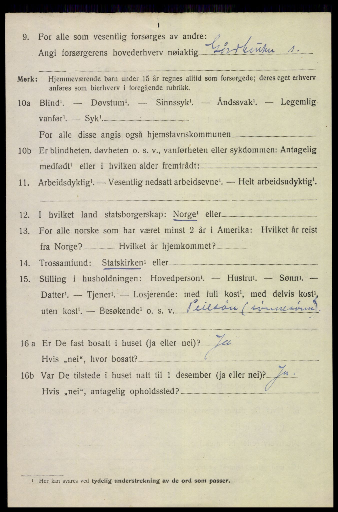 SAH, 1920 census for Hof, 1920, p. 4050