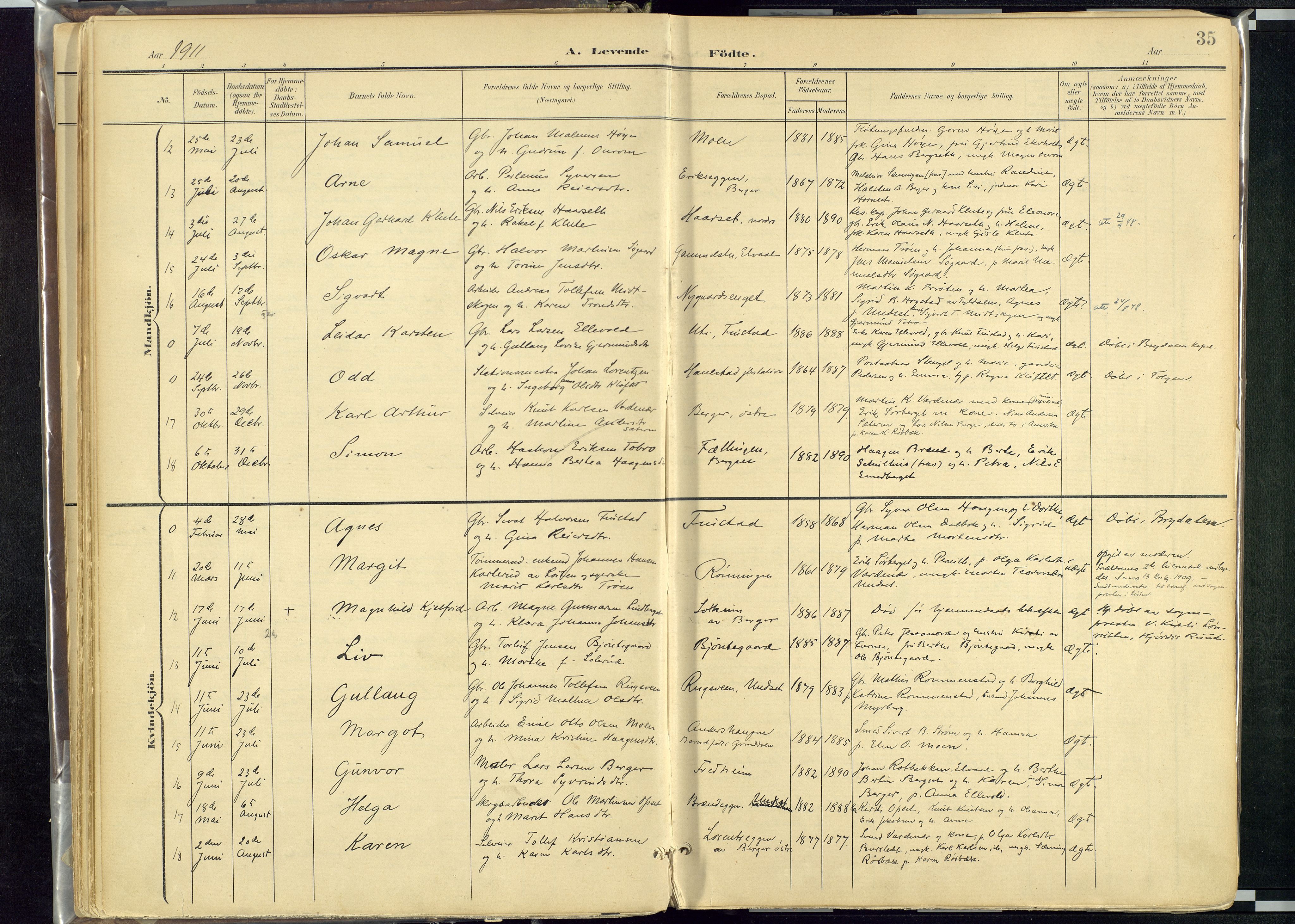Rendalen prestekontor, SAH/PREST-054/H/Ha/Haa/L0012: Parish register (official) no. 12, 1901-1928, p. 35