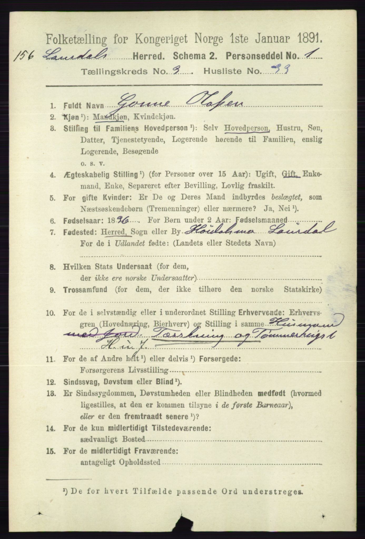 RA, 1891 census for 0833 Lårdal, 1891, p. 994