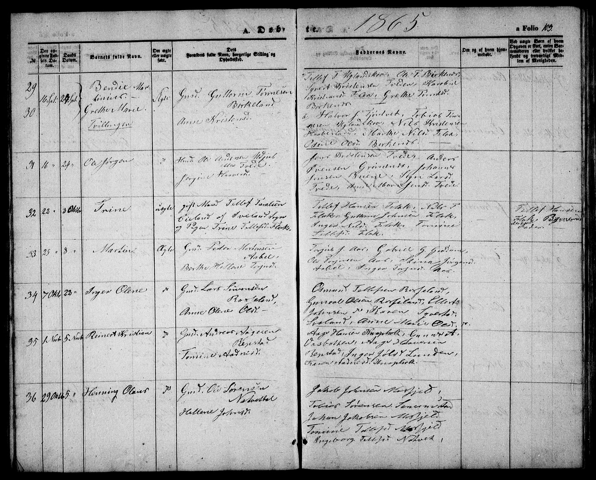 Birkenes sokneprestkontor, AV/SAK-1111-0004/F/Fb/L0002: Parish register (copy) no. B 2, 1849-1876, p. 103