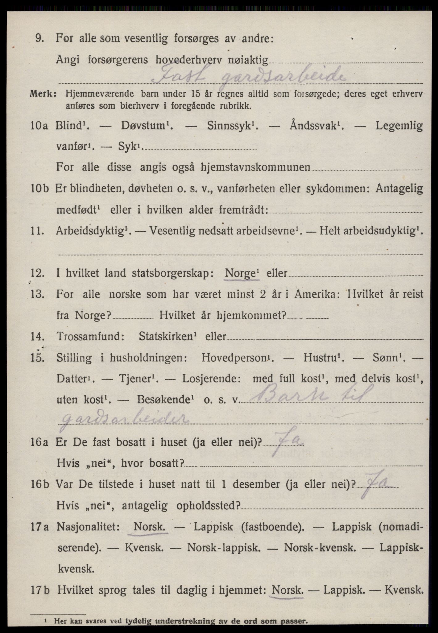 SAT, 1920 census for Selbu, 1920, p. 7867