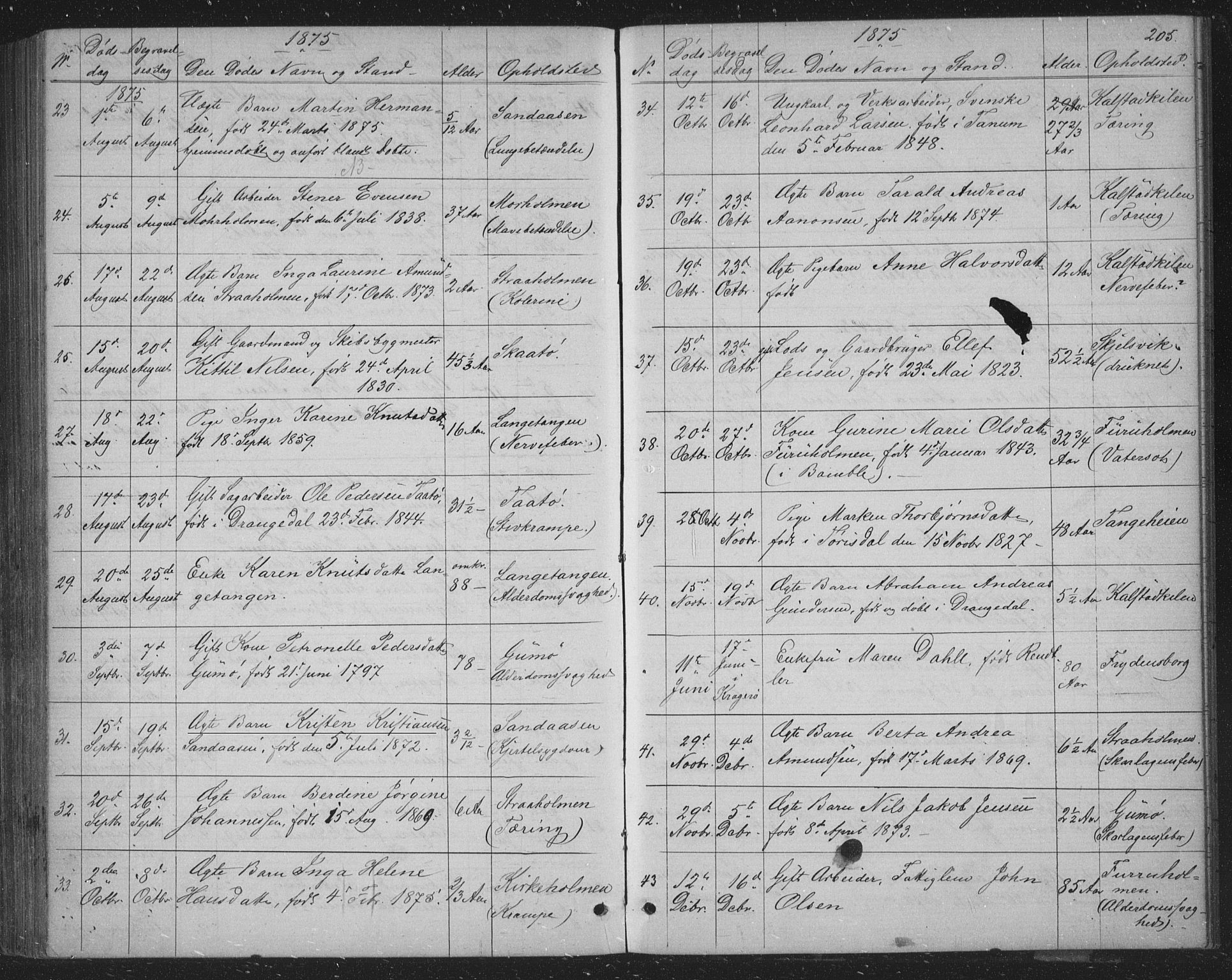 Skåtøy kirkebøker, AV/SAKO-A-304/G/Ga/L0002: Parish register (copy) no. I 2, 1872-1884, p. 205