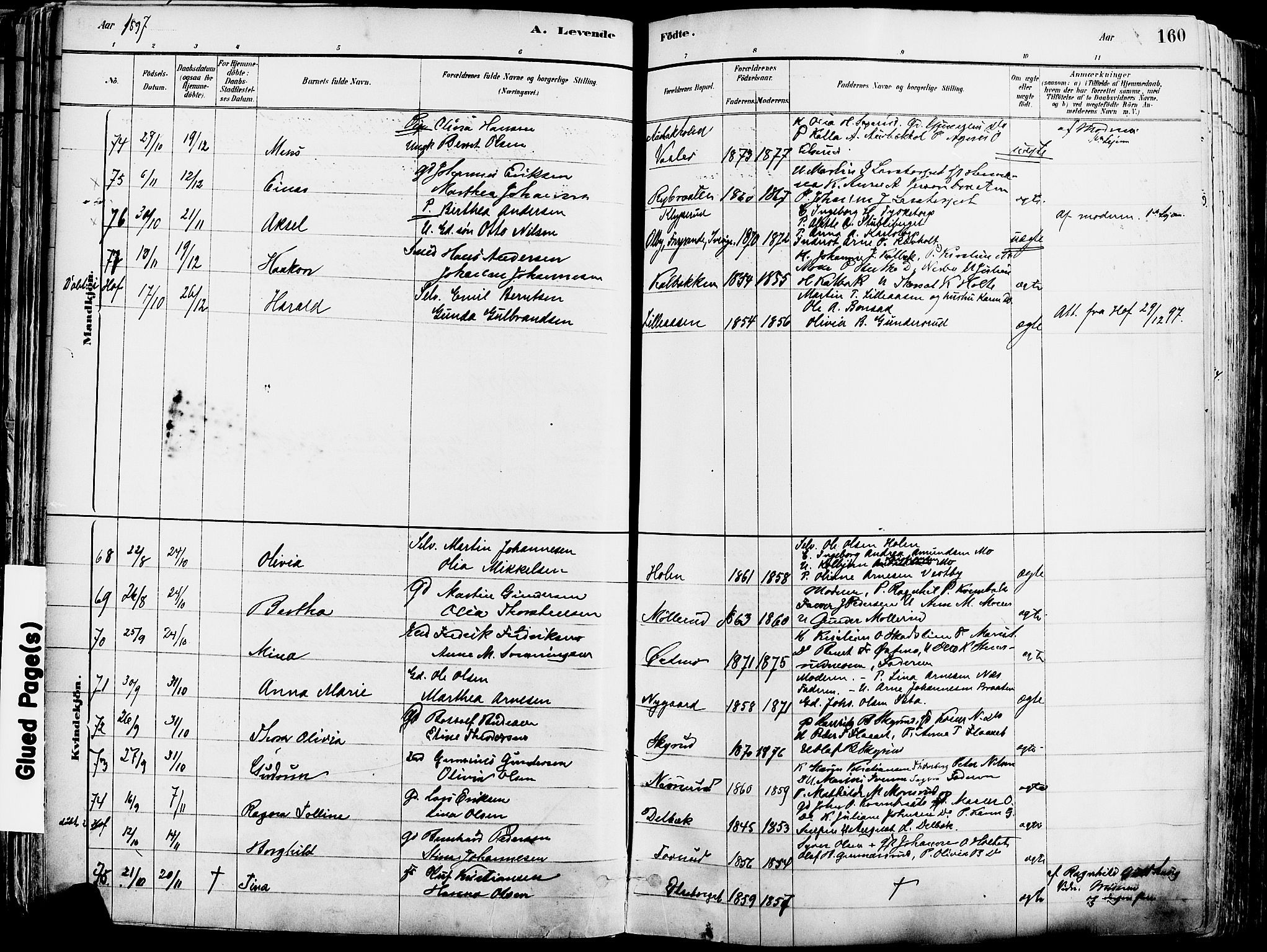 Grue prestekontor, AV/SAH-PREST-036/H/Ha/Haa/L0012: Parish register (official) no. 12, 1881-1897, p. 160