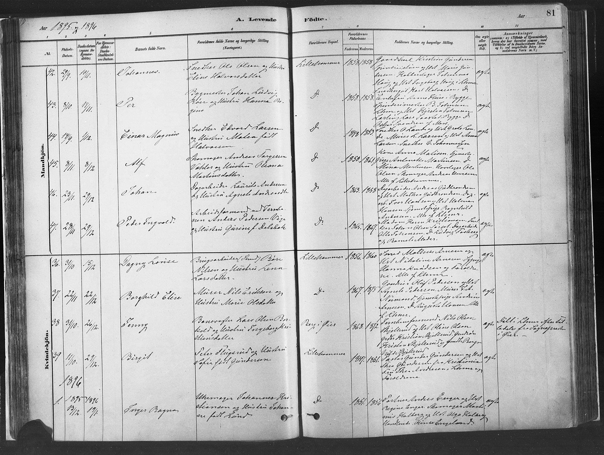 Fåberg prestekontor, SAH/PREST-086/H/Ha/Haa/L0010: Parish register (official) no. 10, 1879-1900, p. 81