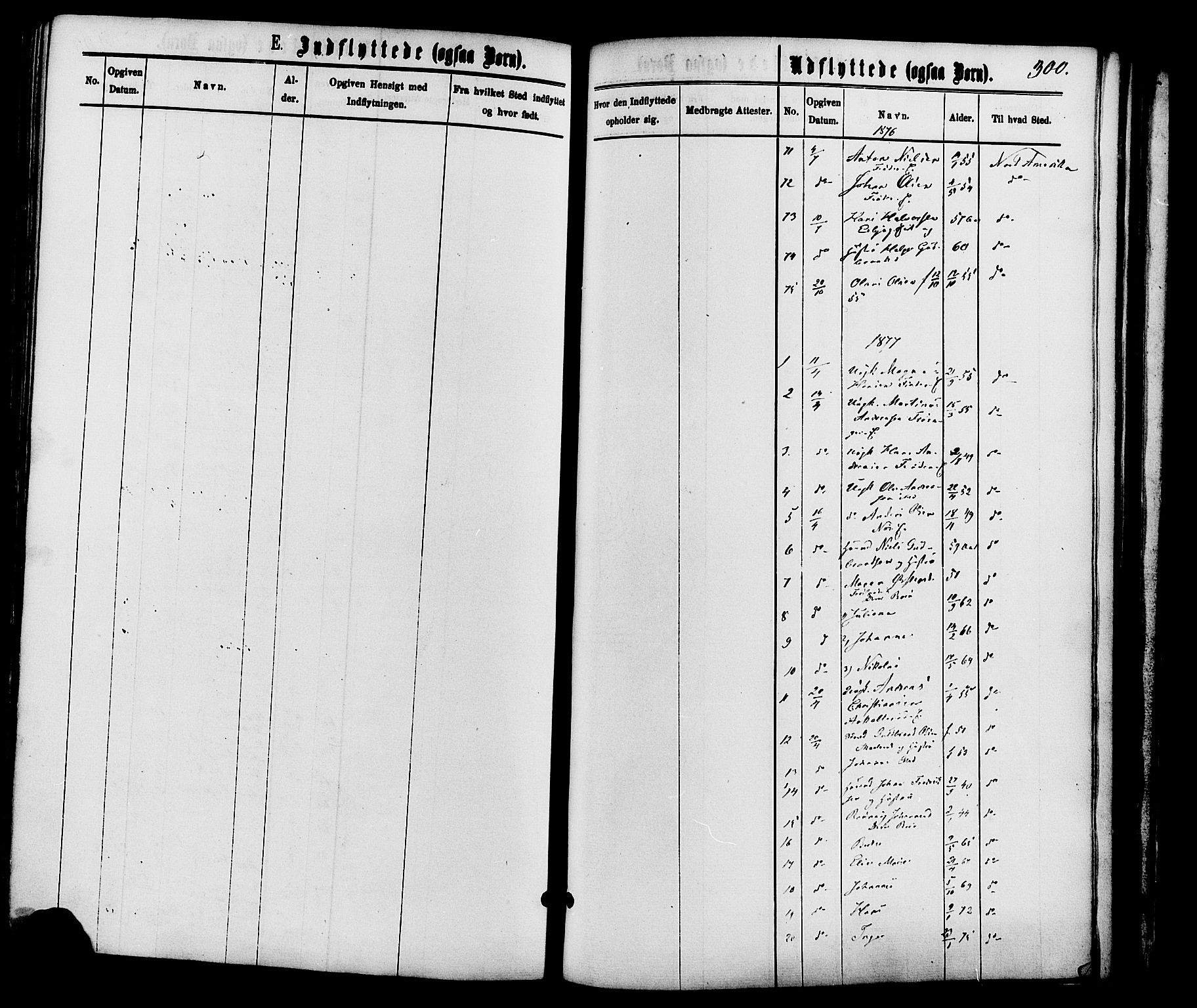 Nordre Land prestekontor, SAH/PREST-124/H/Ha/Haa/L0002: Parish register (official) no. 2, 1872-1881, p. 300