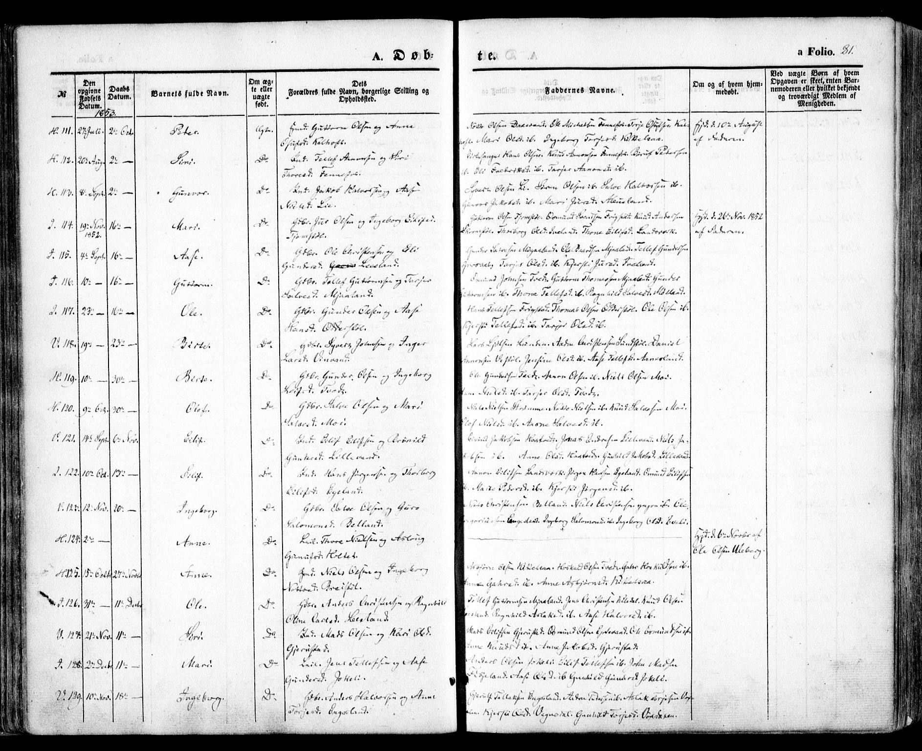 Evje sokneprestkontor, AV/SAK-1111-0008/F/Fa/Faa/L0005: Parish register (official) no. A 5, 1843-1865, p. 81