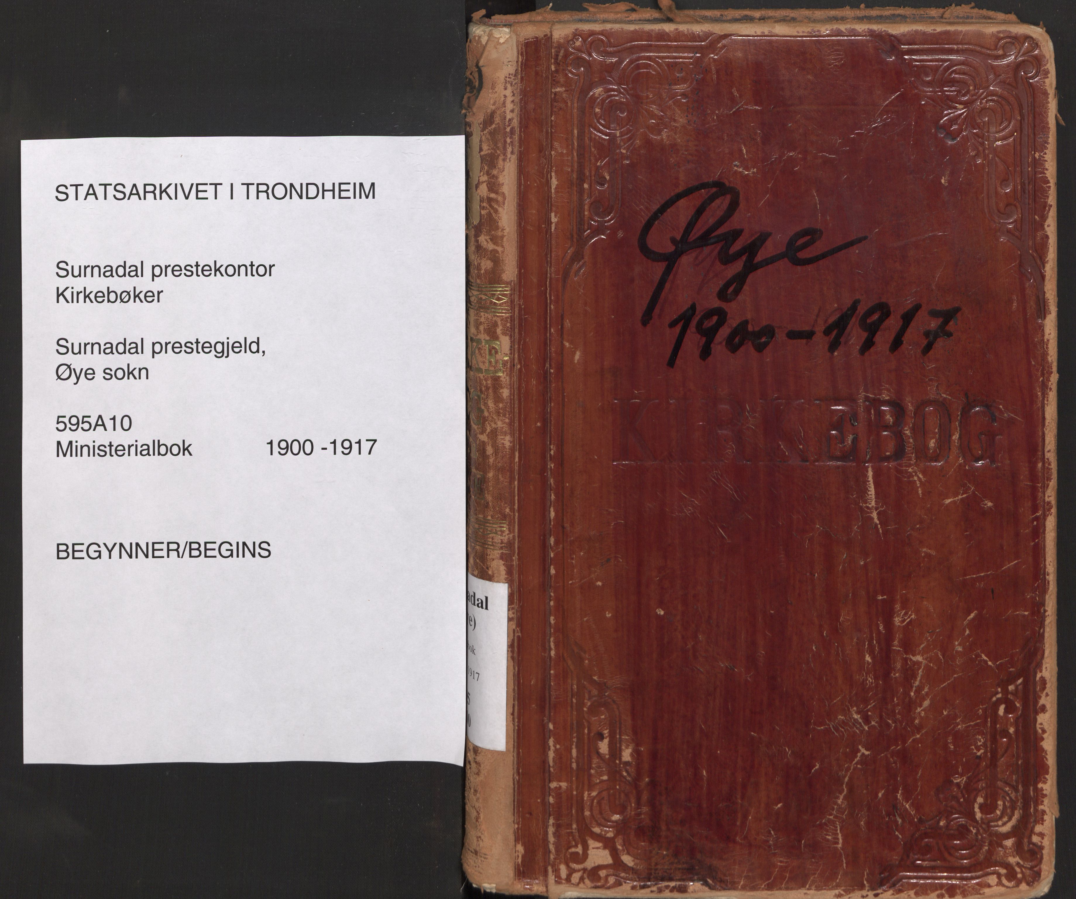 Ministerialprotokoller, klokkerbøker og fødselsregistre - Møre og Romsdal, AV/SAT-A-1454/595/L1048: Parish register (official) no. 595A10, 1900-1917