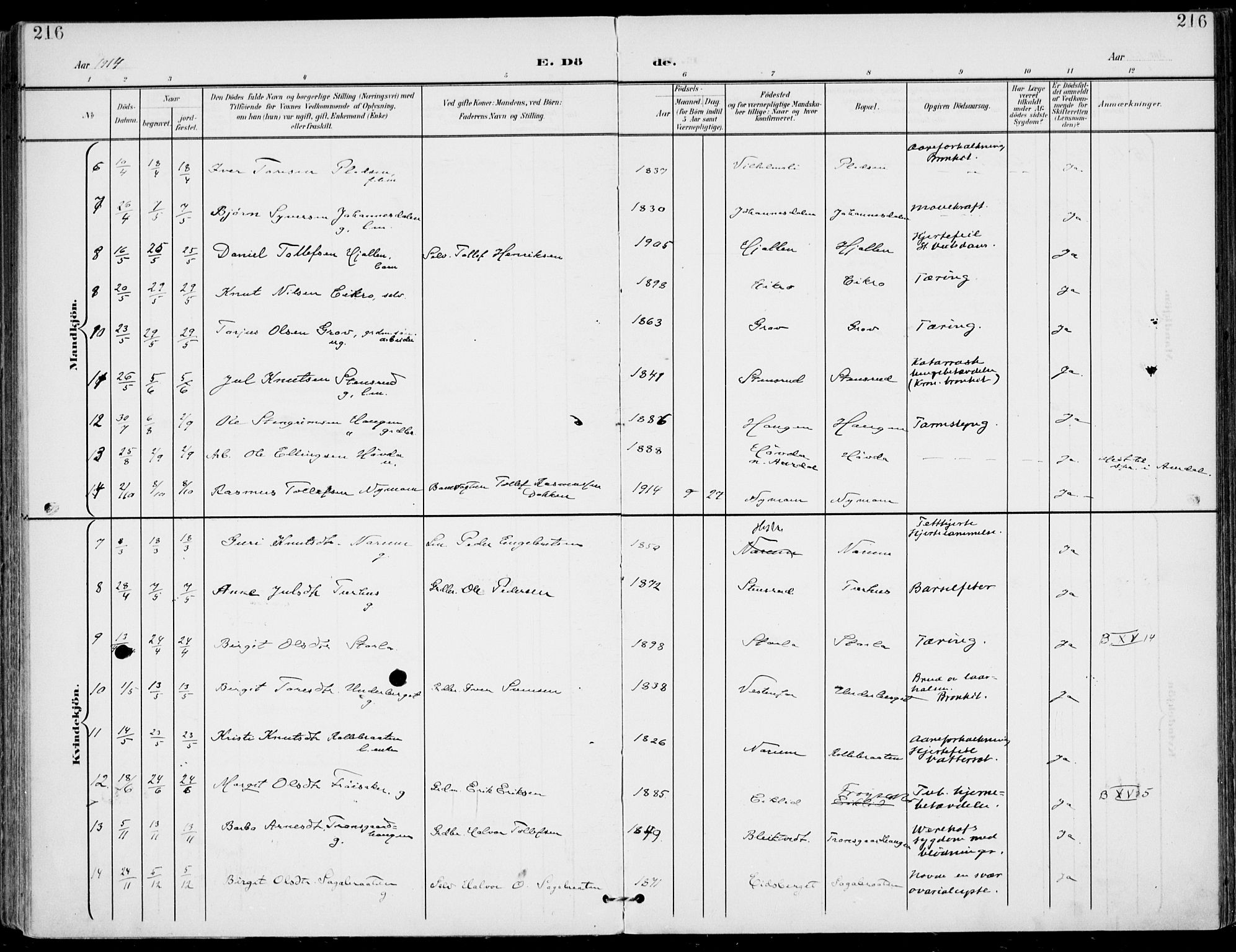 Gol kirkebøker, SAKO/A-226/F/Fa/L0006: Parish register (official) no. I 6, 1901-1918, p. 216