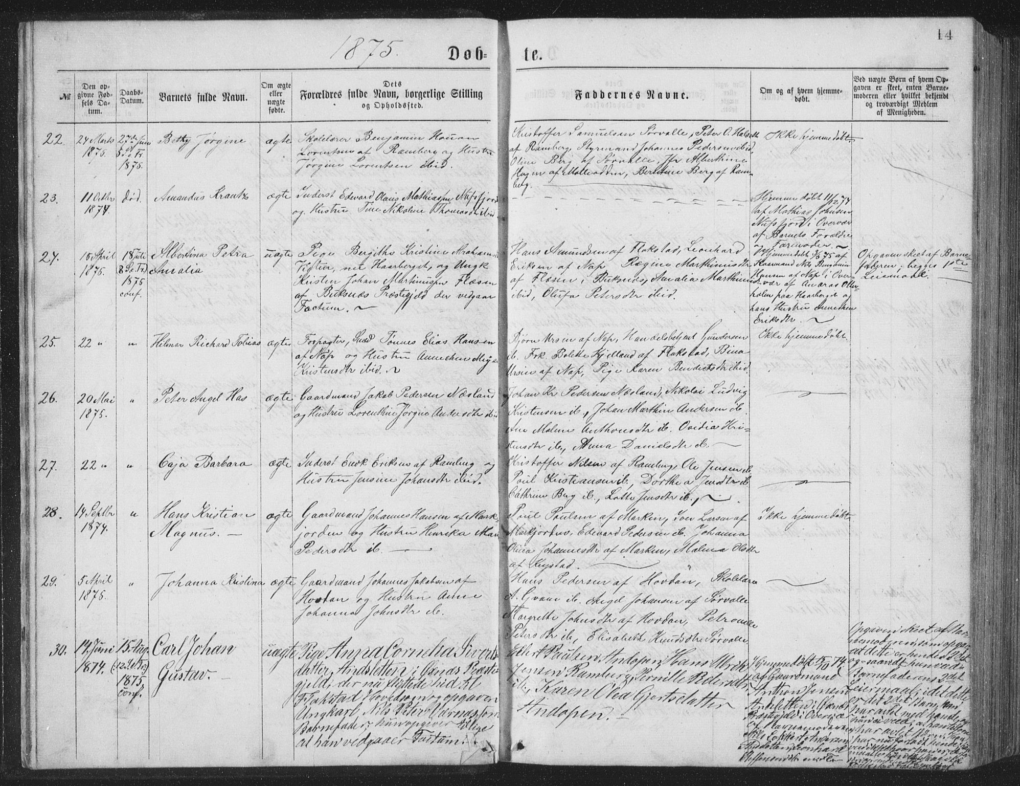 Ministerialprotokoller, klokkerbøker og fødselsregistre - Nordland, AV/SAT-A-1459/885/L1213: Parish register (copy) no. 885C02, 1874-1892, p. 14