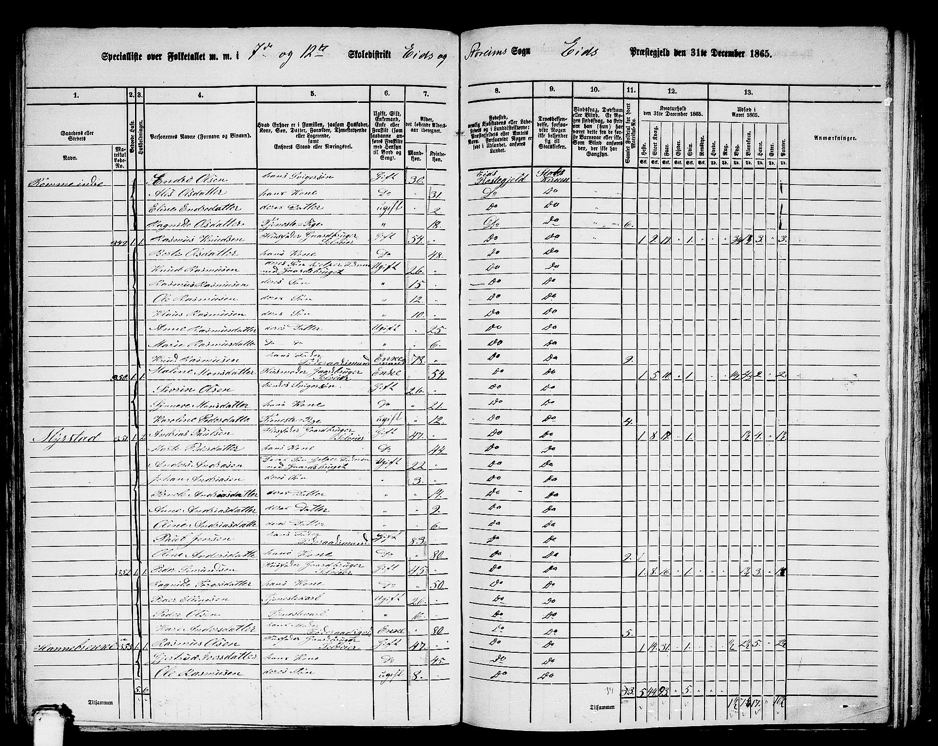 RA, 1865 census for Eid, 1865, p. 155