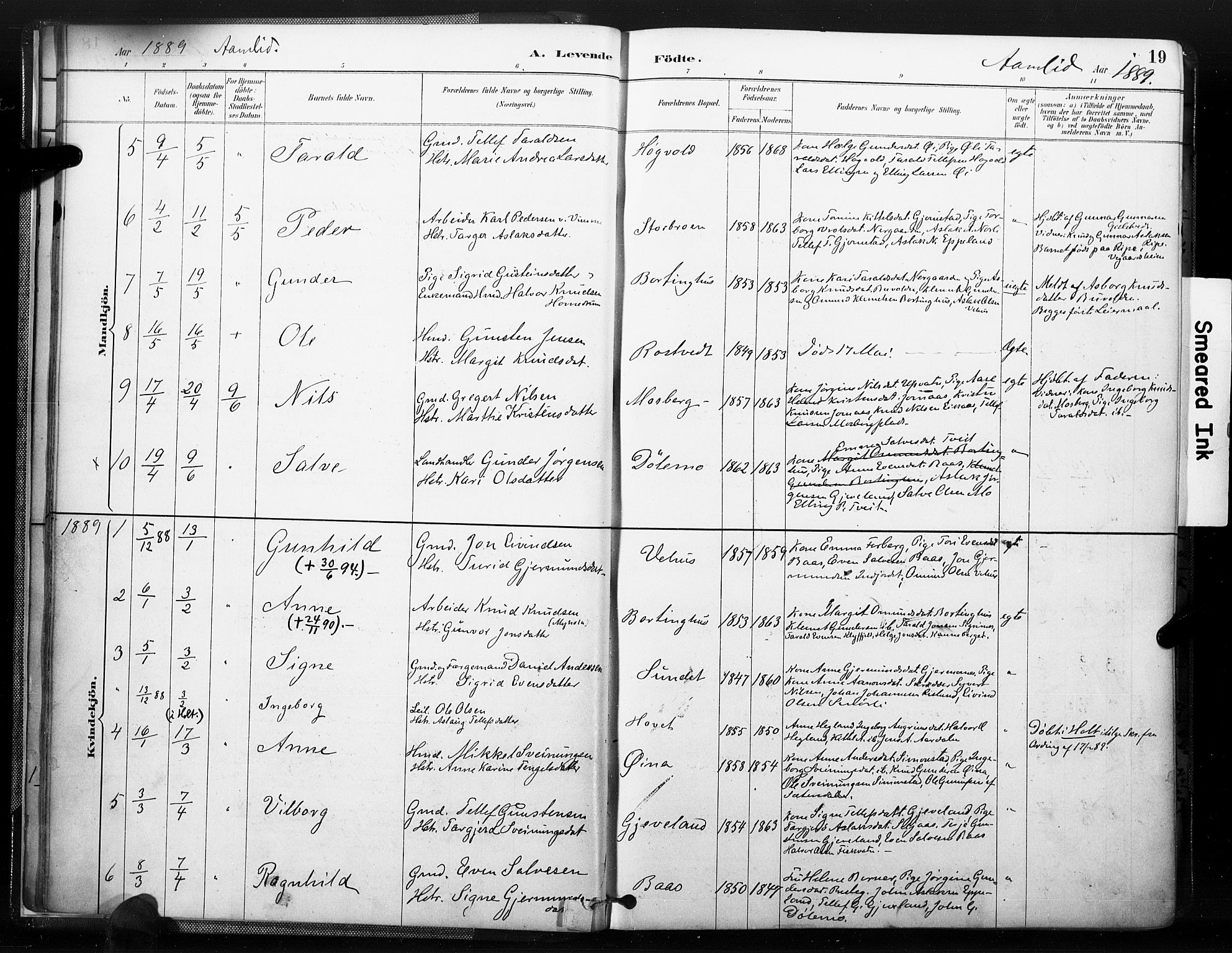 Åmli sokneprestkontor, AV/SAK-1111-0050/F/Fa/Fac/L0010: Parish register (official) no. A 10 /1, 1885-1899, p. 19