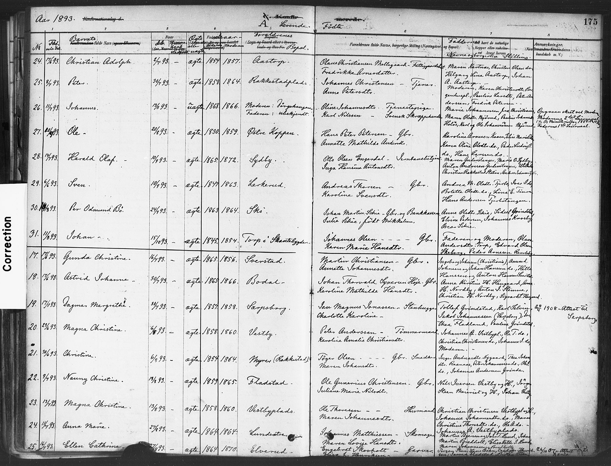 Rakkestad prestekontor Kirkebøker, AV/SAO-A-2008/F/Fa/L0012: Parish register (official) no. I 12, 1878-1893, p. 175