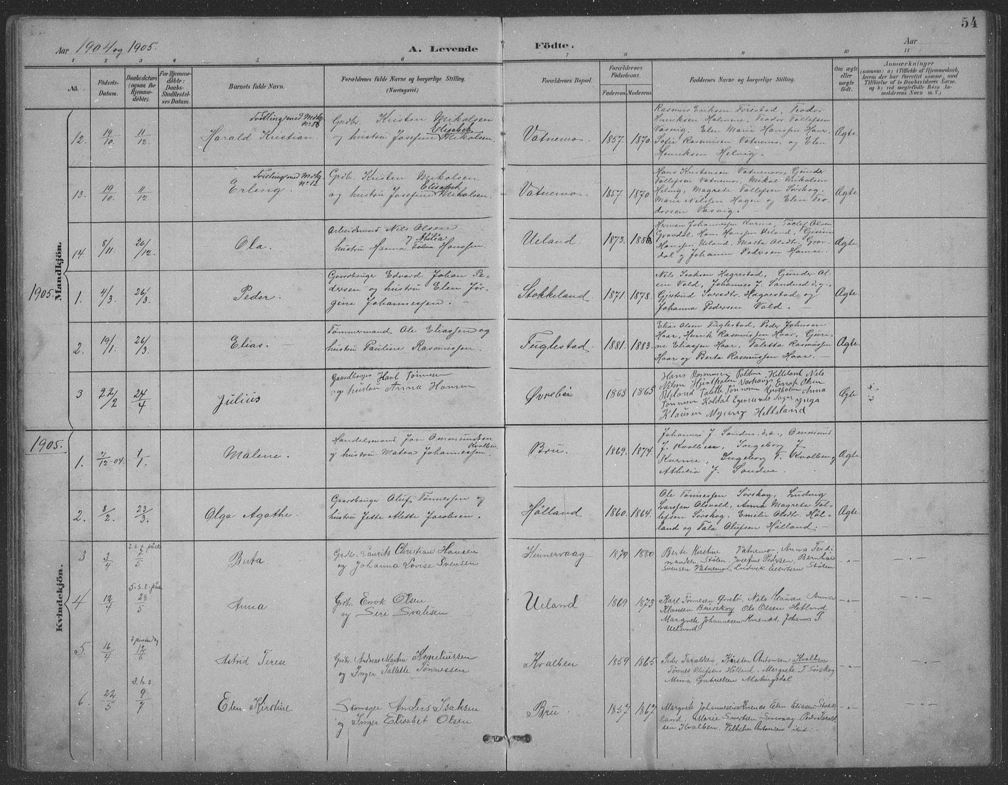 Eigersund sokneprestkontor, SAST/A-101807/S09: Parish register (copy) no. B 21, 1890-1915, p. 54