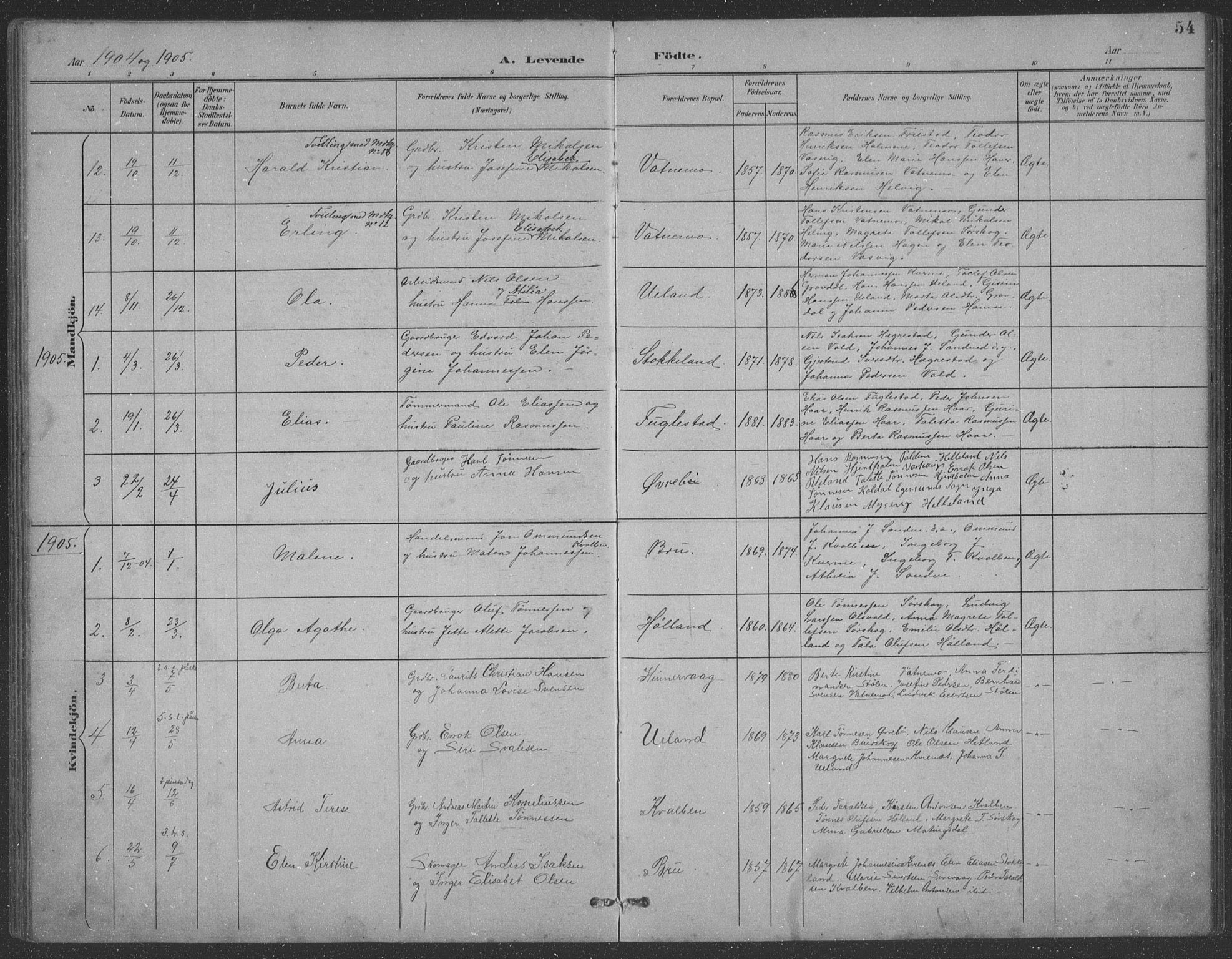 Eigersund sokneprestkontor, AV/SAST-A-101807/S09: Parish register (copy) no. B 21, 1890-1915, p. 54