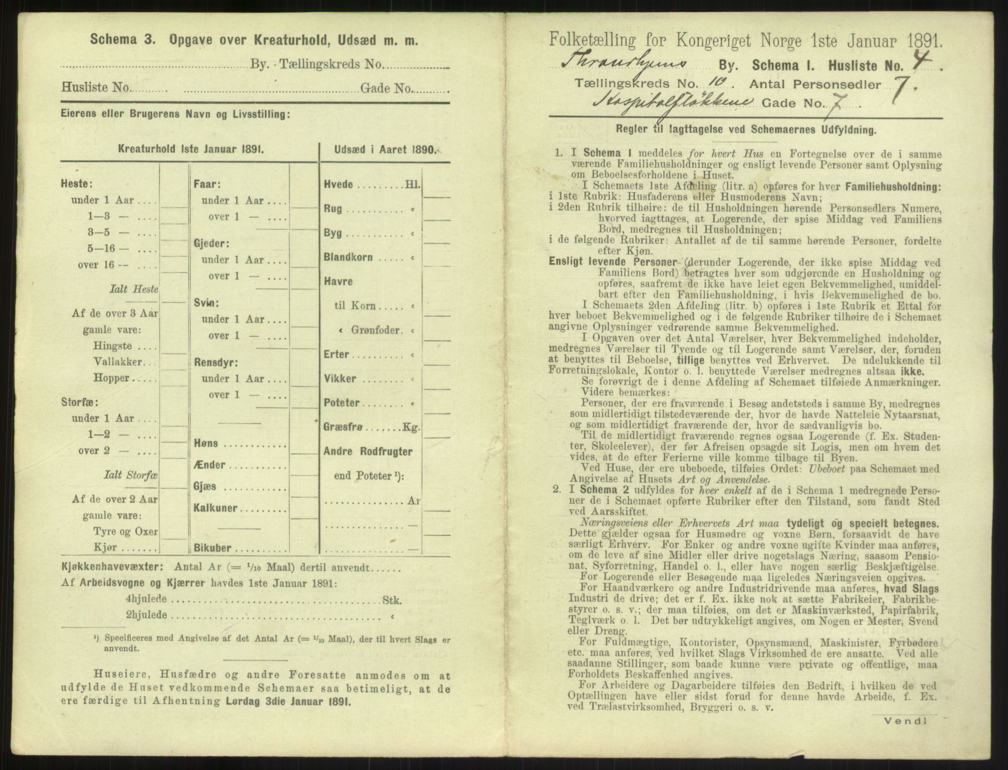 RA, 1891 census for 1601 Trondheim, 1891, p. 1160