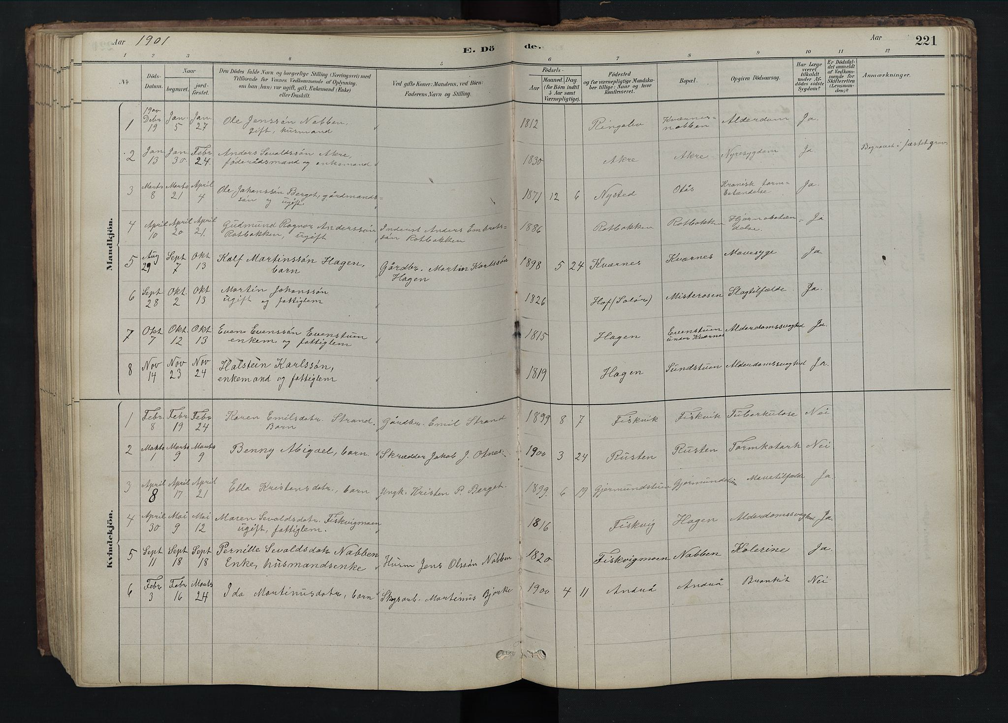 Rendalen prestekontor, SAH/PREST-054/H/Ha/Hab/L0009: Parish register (copy) no. 9, 1879-1902, p. 221