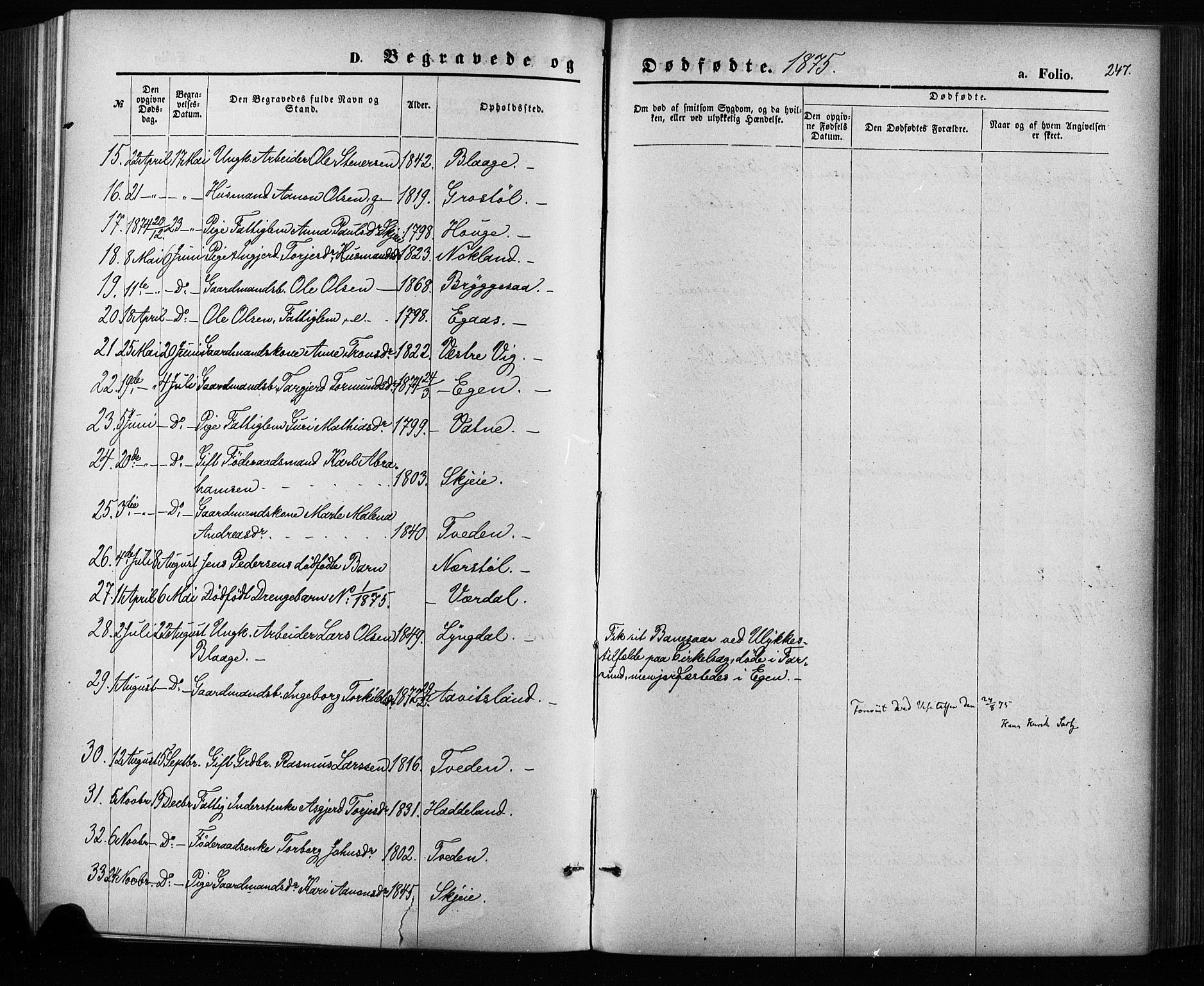 Hægebostad sokneprestkontor, SAK/1111-0024/F/Fa/Fab/L0003: Parish register (official) no. A 3, 1872-1886, p. 247