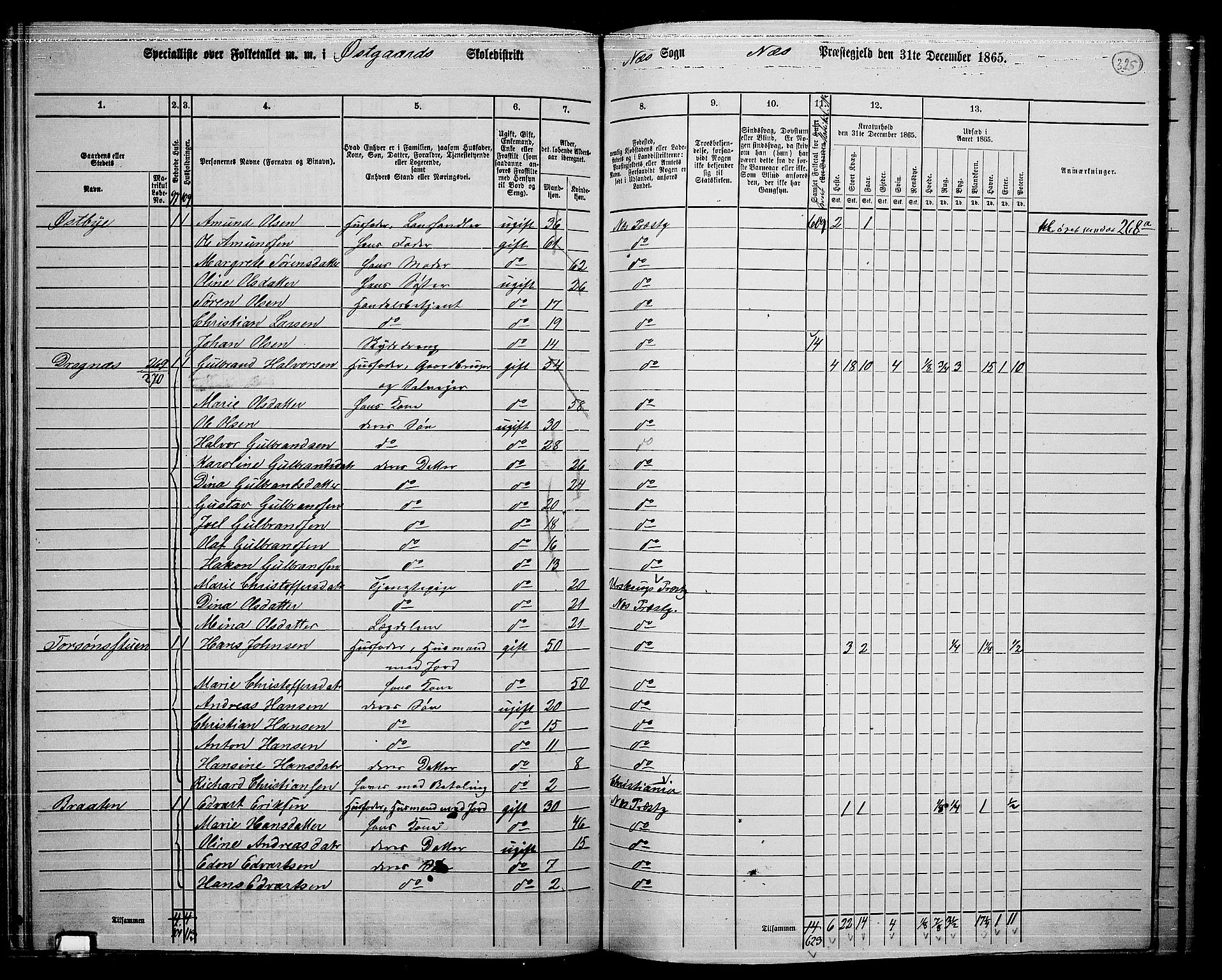 RA, 1865 census for Nes, 1865, p. 300