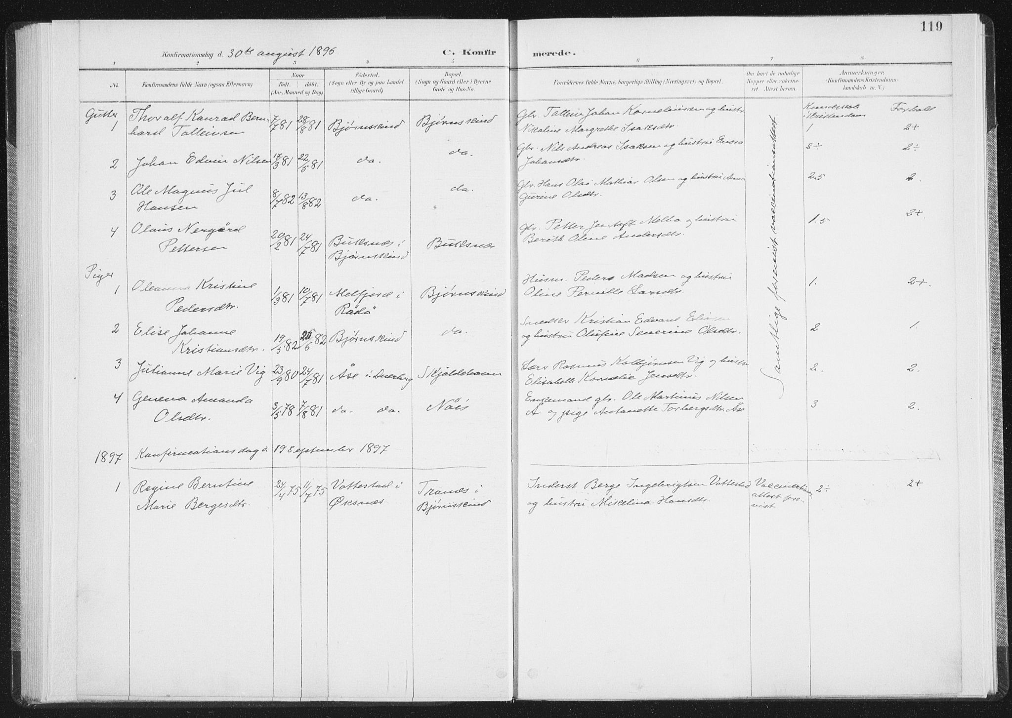 Ministerialprotokoller, klokkerbøker og fødselsregistre - Nordland, SAT/A-1459/898/L1422: Parish register (official) no. 898A02, 1887-1908, p. 119