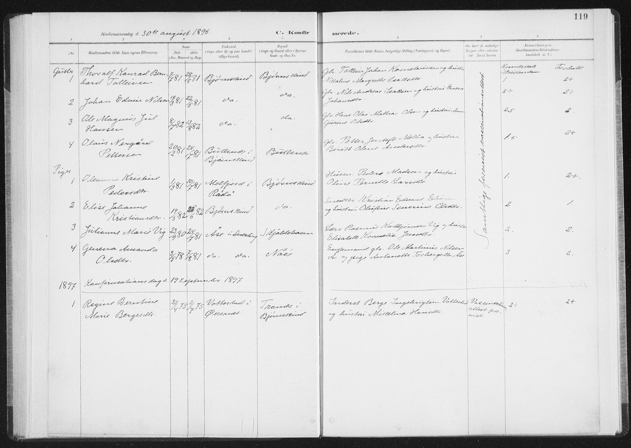 Ministerialprotokoller, klokkerbøker og fødselsregistre - Nordland, AV/SAT-A-1459/898/L1422: Parish register (official) no. 898A02, 1887-1908, p. 119