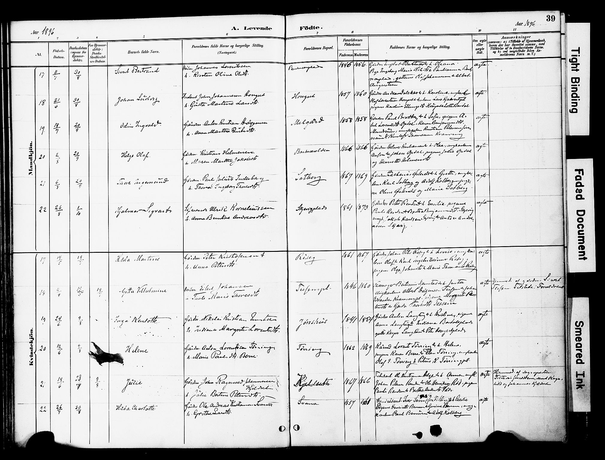 Ministerialprotokoller, klokkerbøker og fødselsregistre - Nord-Trøndelag, AV/SAT-A-1458/741/L0396: Parish register (official) no. 741A10, 1889-1901, p. 39