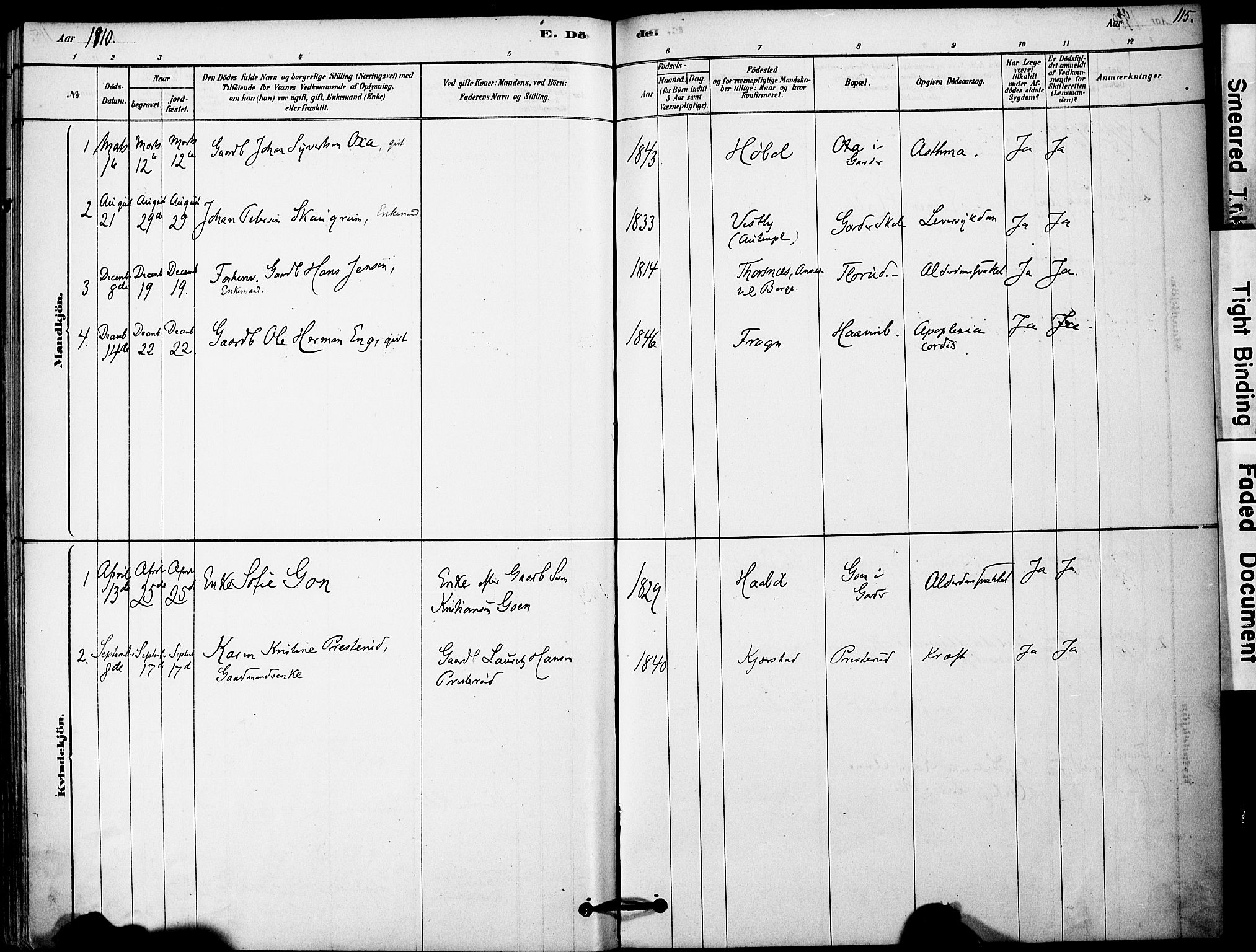 Vestby prestekontor Kirkebøker, SAO/A-10893/F/Fa/L0011: Parish register (official) no. I 11, 1878-1913, p. 115