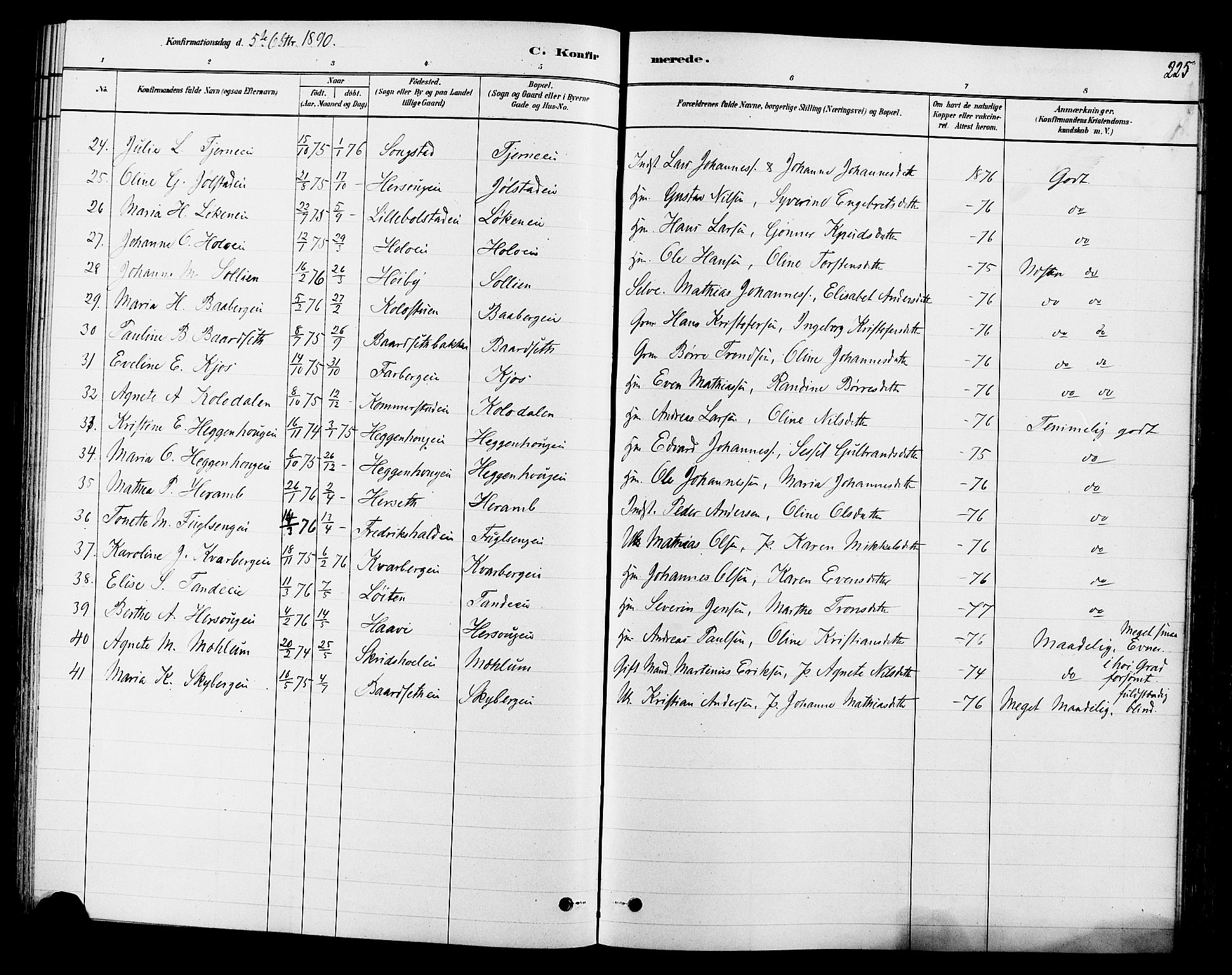 Ringsaker prestekontor, AV/SAH-PREST-014/L/La/L0009: Parish register (copy) no. 9, 1879-1890, p. 225