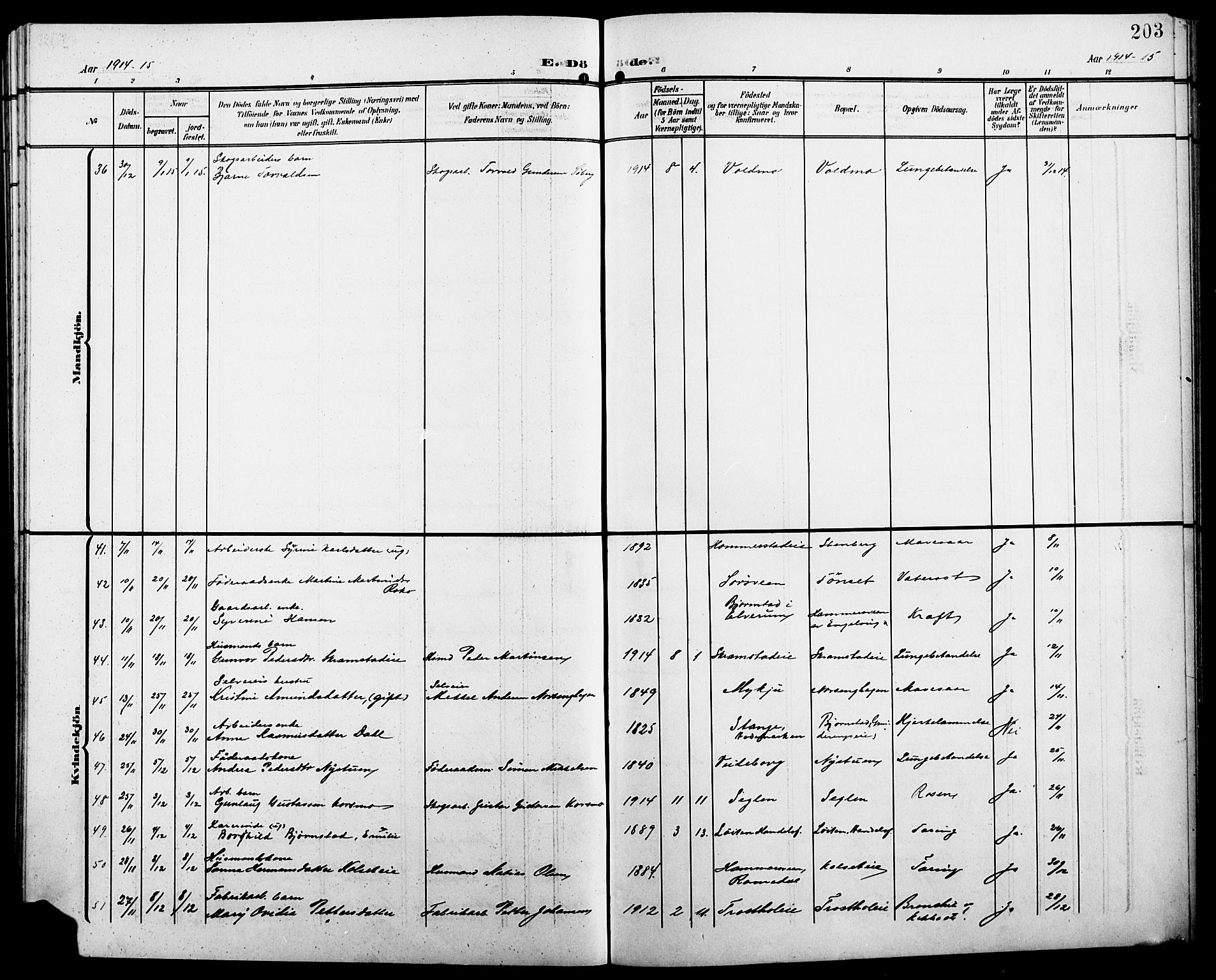 Løten prestekontor, SAH/PREST-022/L/La/L0007: Parish register (copy) no. 7, 1910-1919, p. 203