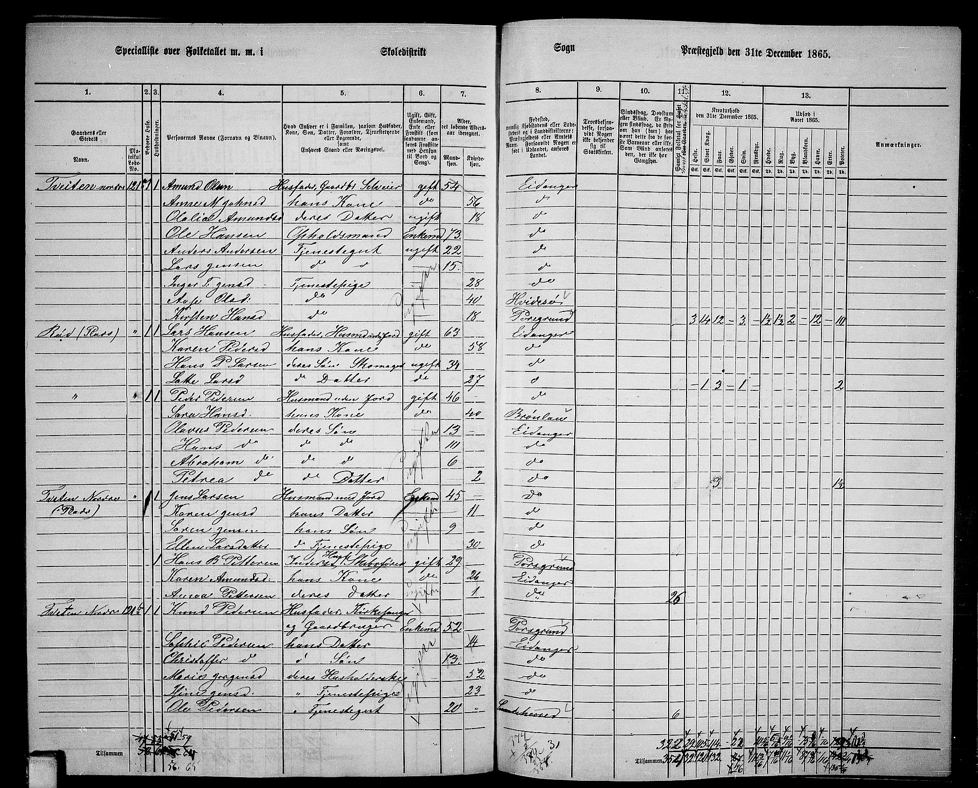 RA, 1865 census for Eidanger, 1865, p. 110