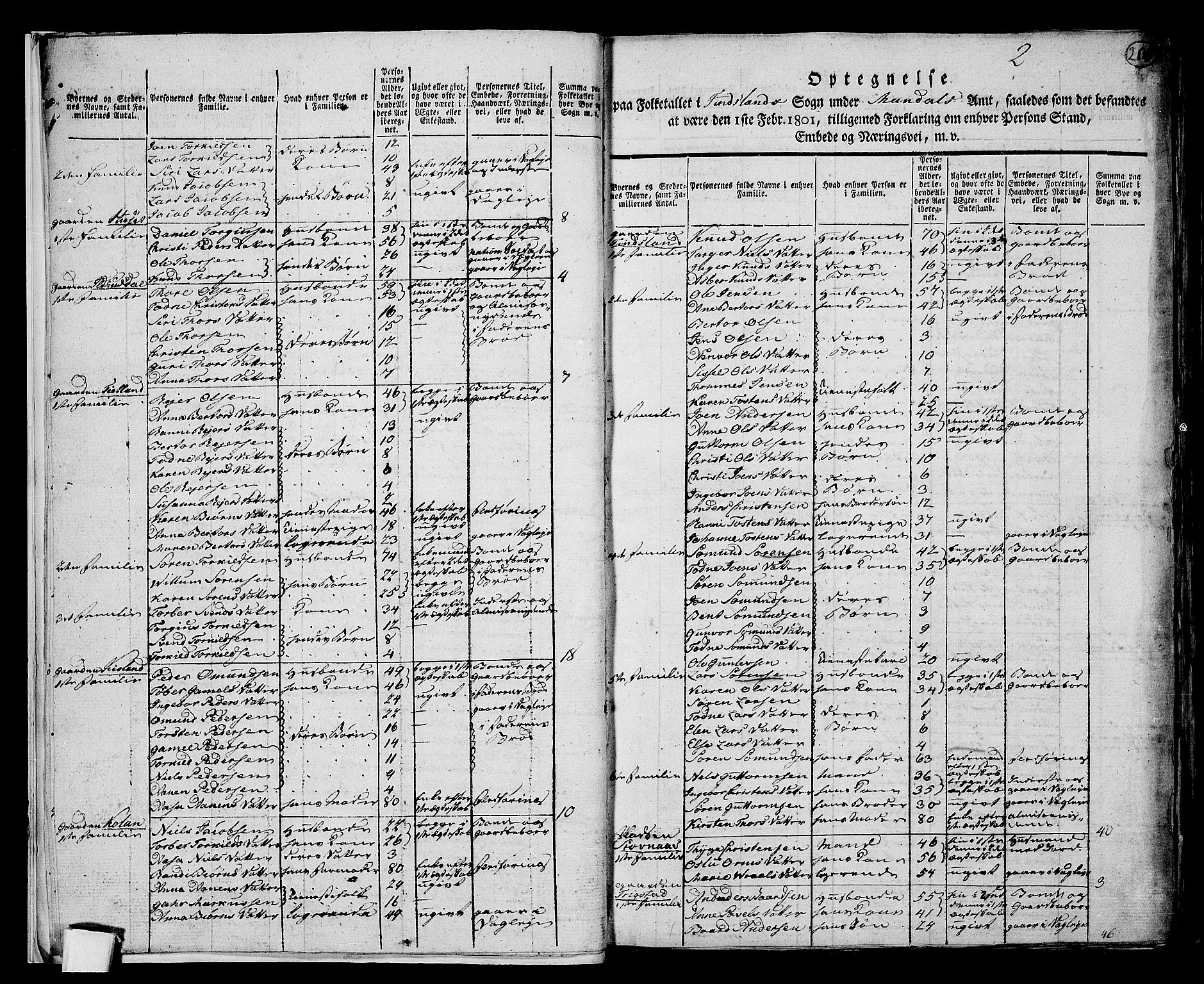 RA, 1801 census for 1024P Bjelland, 1801, p. 207b-208a