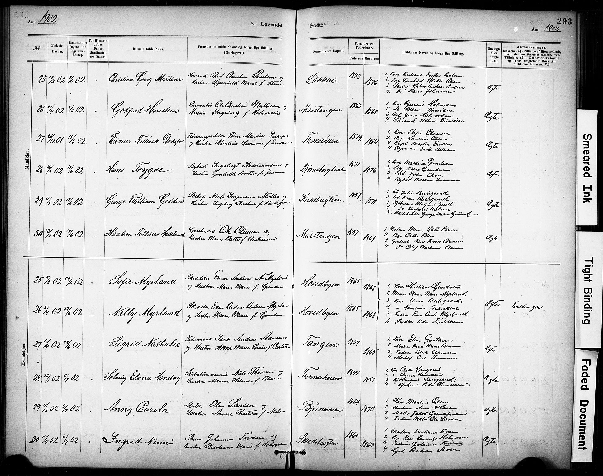 Kragerø kirkebøker, AV/SAKO-A-278/G/Ga/L0007: Parish register (copy) no. 7, 1881-1927, p. 293
