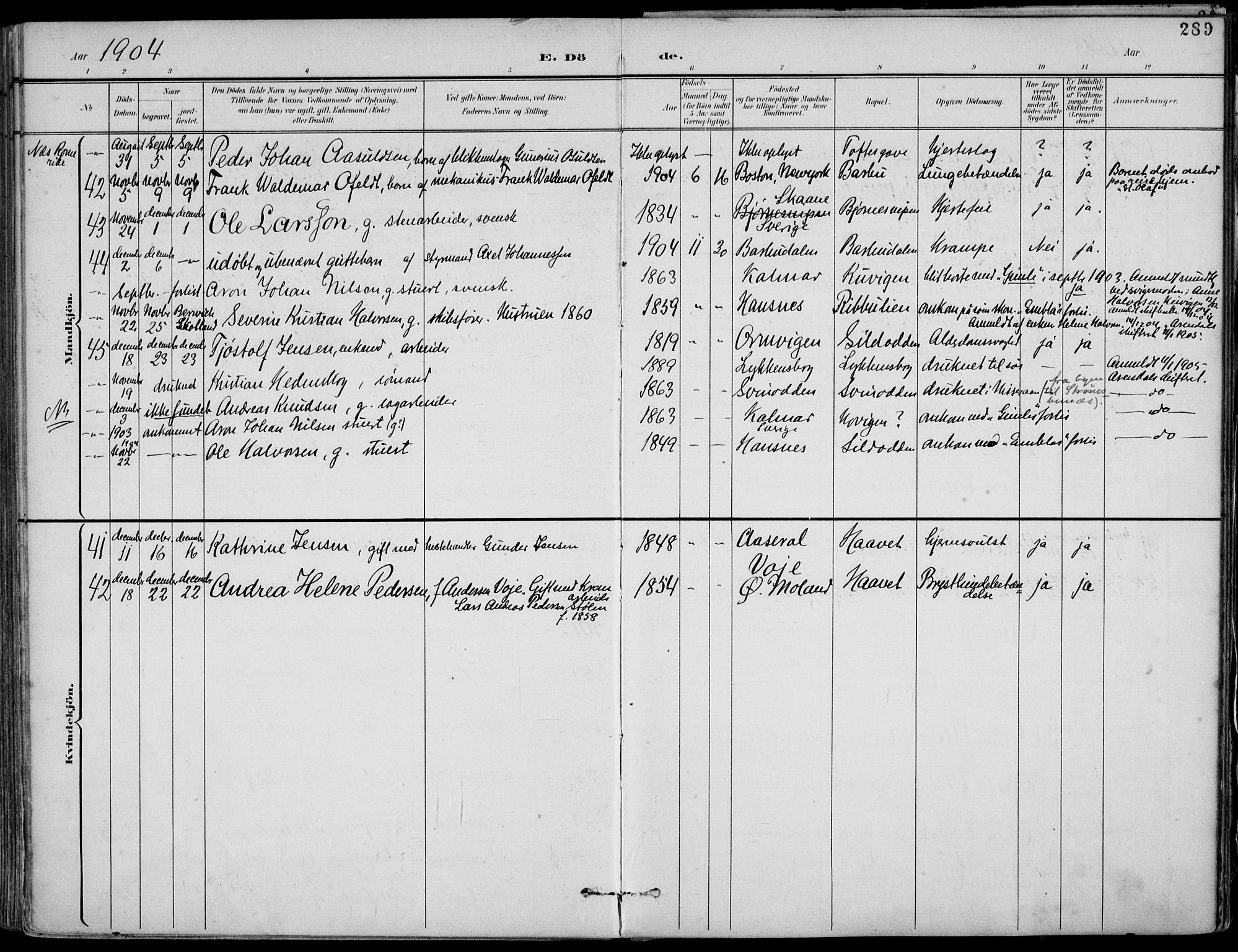 Barbu sokneprestkontor, AV/SAK-1111-0003/F/Fa/L0005: Parish register (official) no. A 5, 1899-1909, p. 289