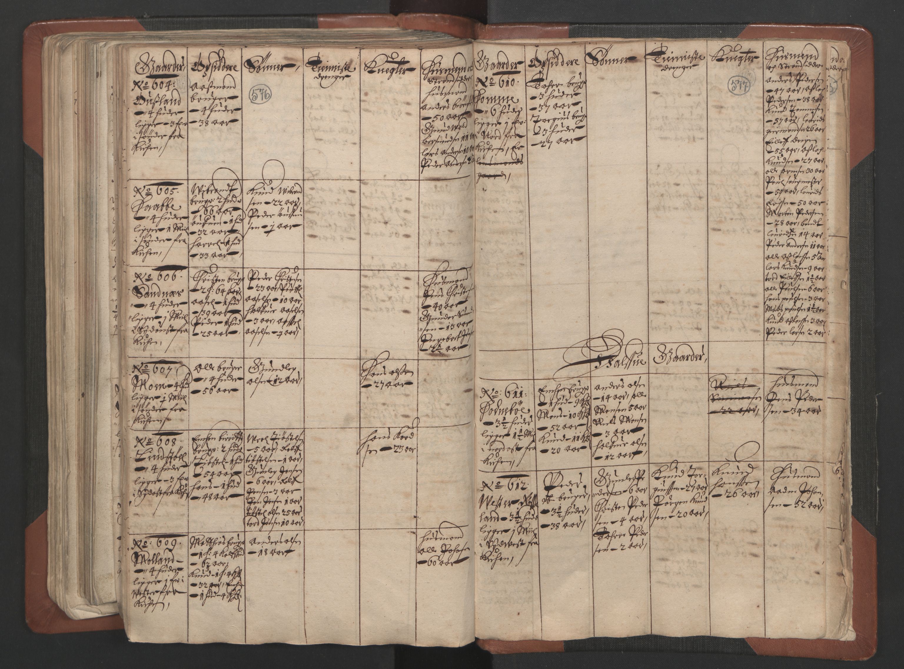 RA, Bailiff's Census 1664-1666, no. 7: Nedenes fogderi, 1664-1666, p. 576-577