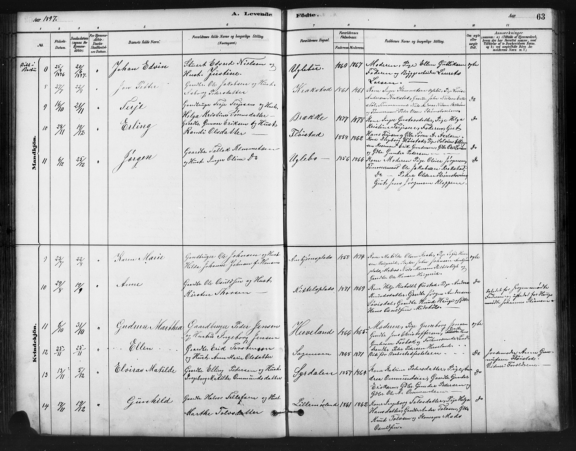 Austre Moland sokneprestkontor, AV/SAK-1111-0001/F/Fb/Fba/L0003: Parish register (copy) no. B 3, 1879-1914, p. 63