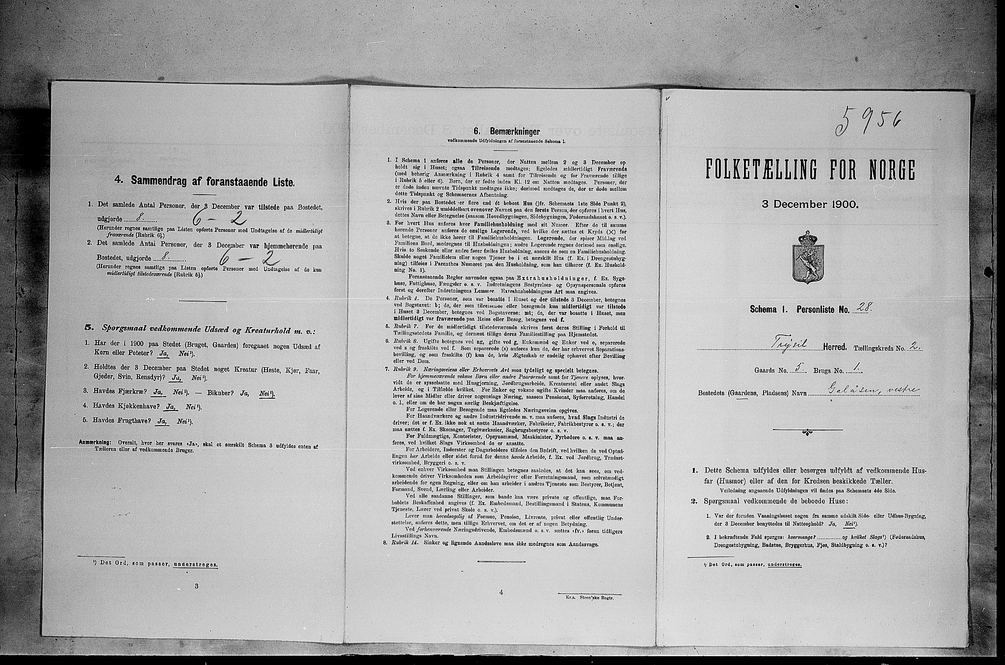 SAH, 1900 census for Trysil, 1900, p. 315