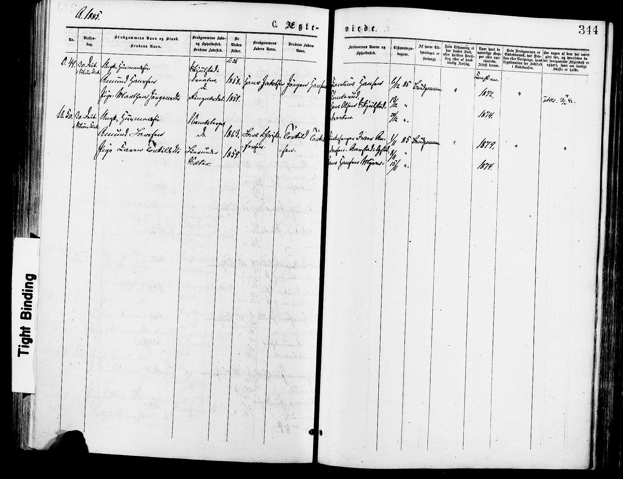 Sør-Odal prestekontor, SAH/PREST-030/H/Ha/Haa/L0005: Parish register (official) no. 5, 1876-1885, p. 344