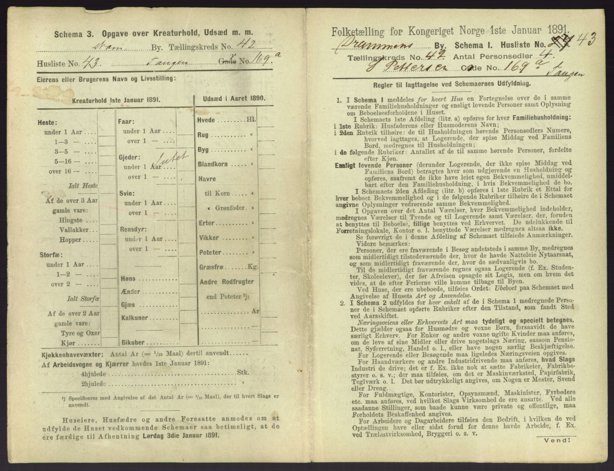 RA, 1891 census for 0602 Drammen, 1891, p. 3801