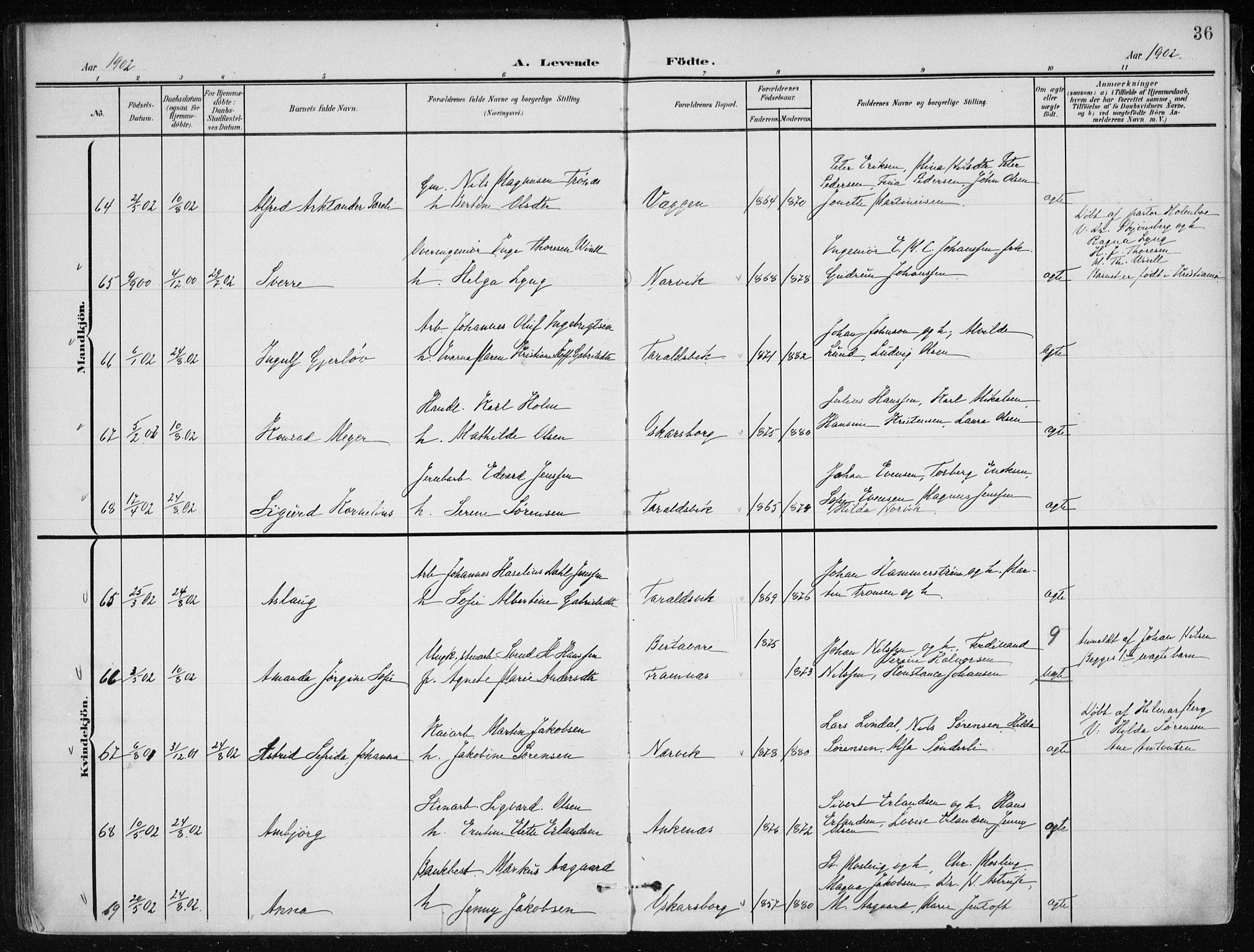 Ministerialprotokoller, klokkerbøker og fødselsregistre - Nordland, AV/SAT-A-1459/866/L0941: Parish register (official) no. 866A04, 1901-1917, p. 36