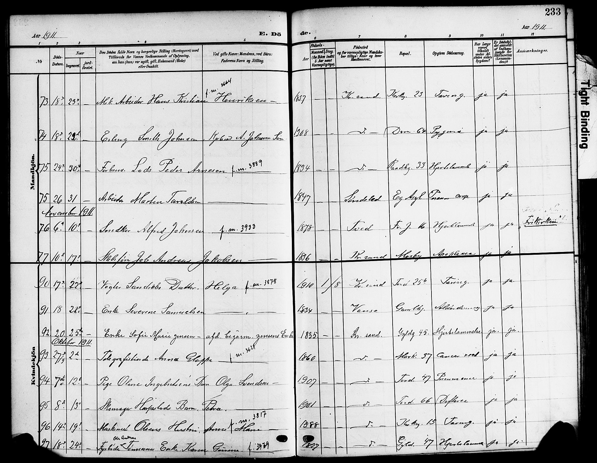 Kristiansand domprosti, SAK/1112-0006/F/Fb/L0020: Parish register (copy) no. B 20, 1906-1915, p. 233