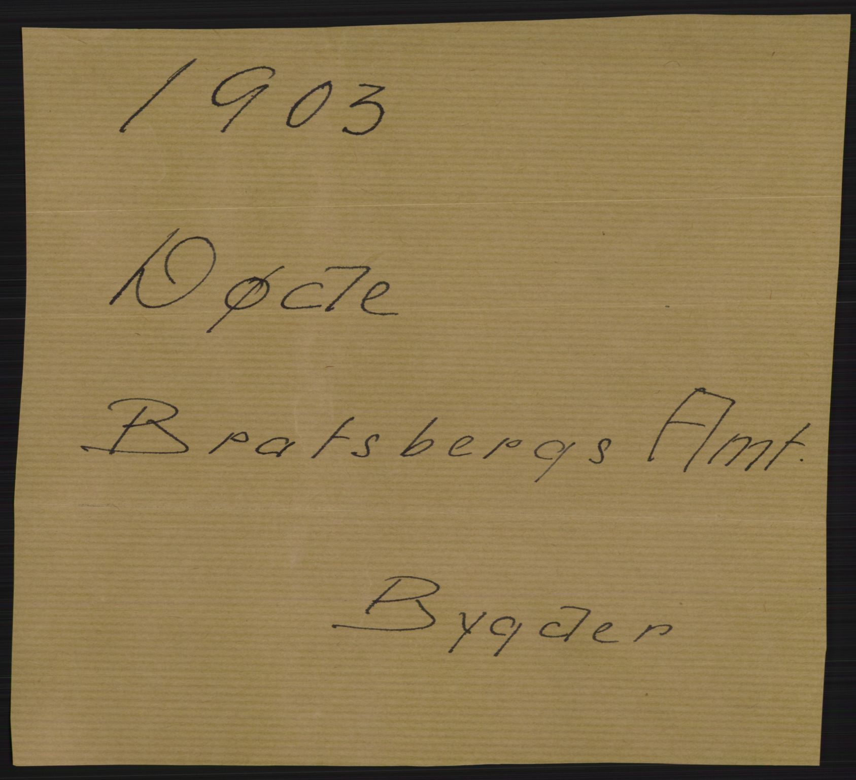 Statistisk sentralbyrå, Sosiodemografiske emner, Befolkning, AV/RA-S-2228/D/Df/Dfa/Dfaa/L0009: Bratsberg amt: Fødte, gifte, døde, 1903, p. 491