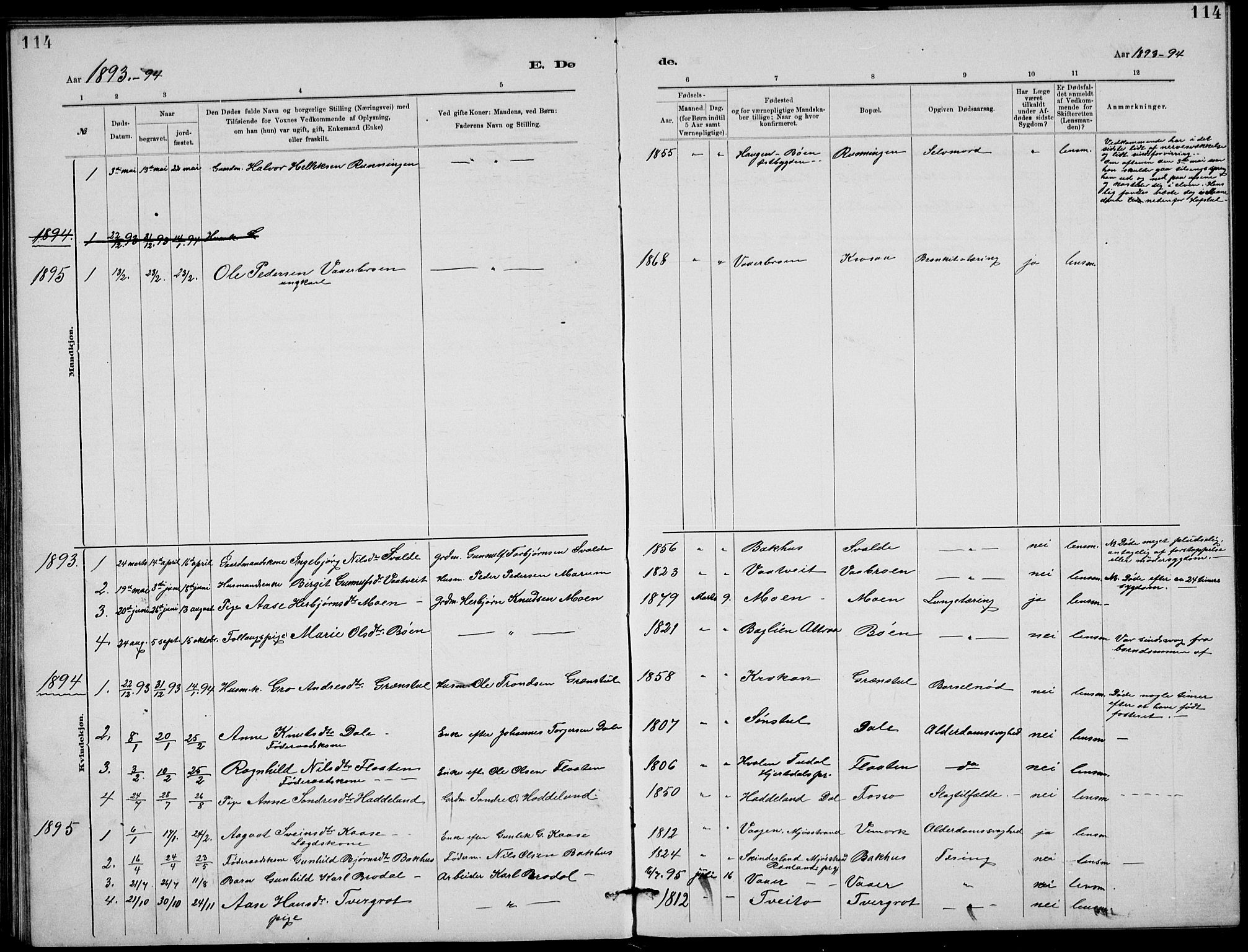 Rjukan kirkebøker, SAKO/A-294/G/Ga/L0001: Parish register (copy) no. 1, 1880-1914, p. 114