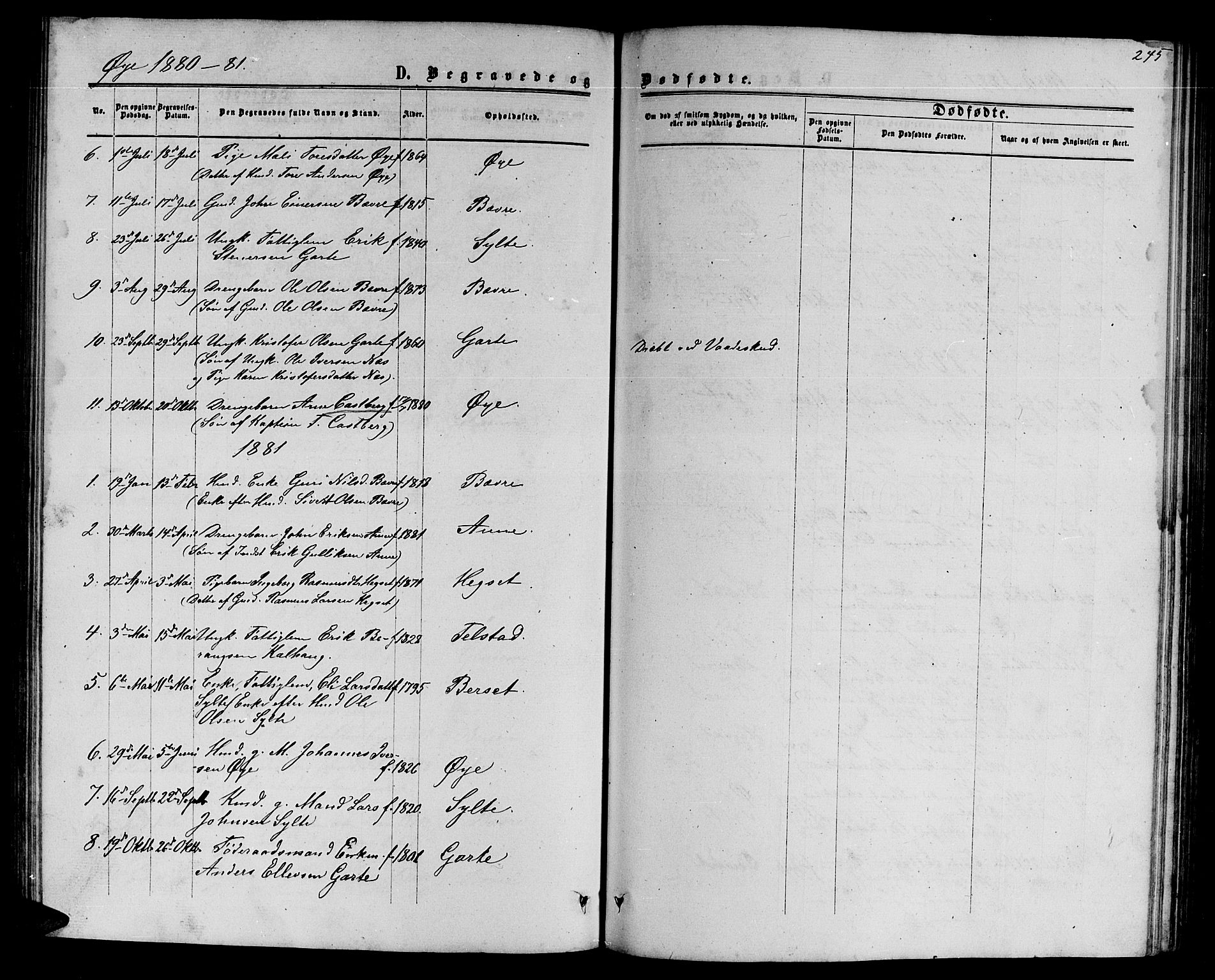 Ministerialprotokoller, klokkerbøker og fødselsregistre - Møre og Romsdal, SAT/A-1454/595/L1051: Parish register (copy) no. 595C03, 1866-1891, p. 245