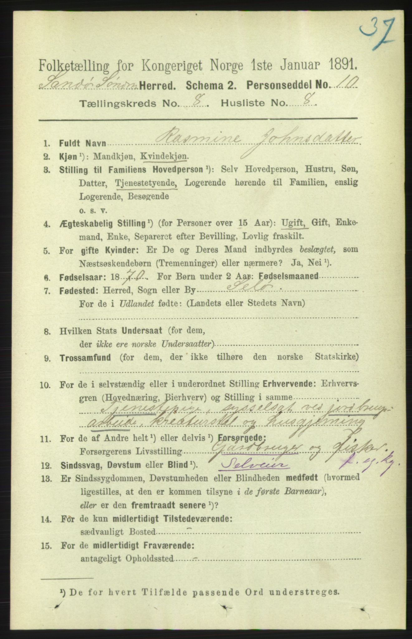 RA, 1891 census for 1514 Sande, 1891, p. 1417