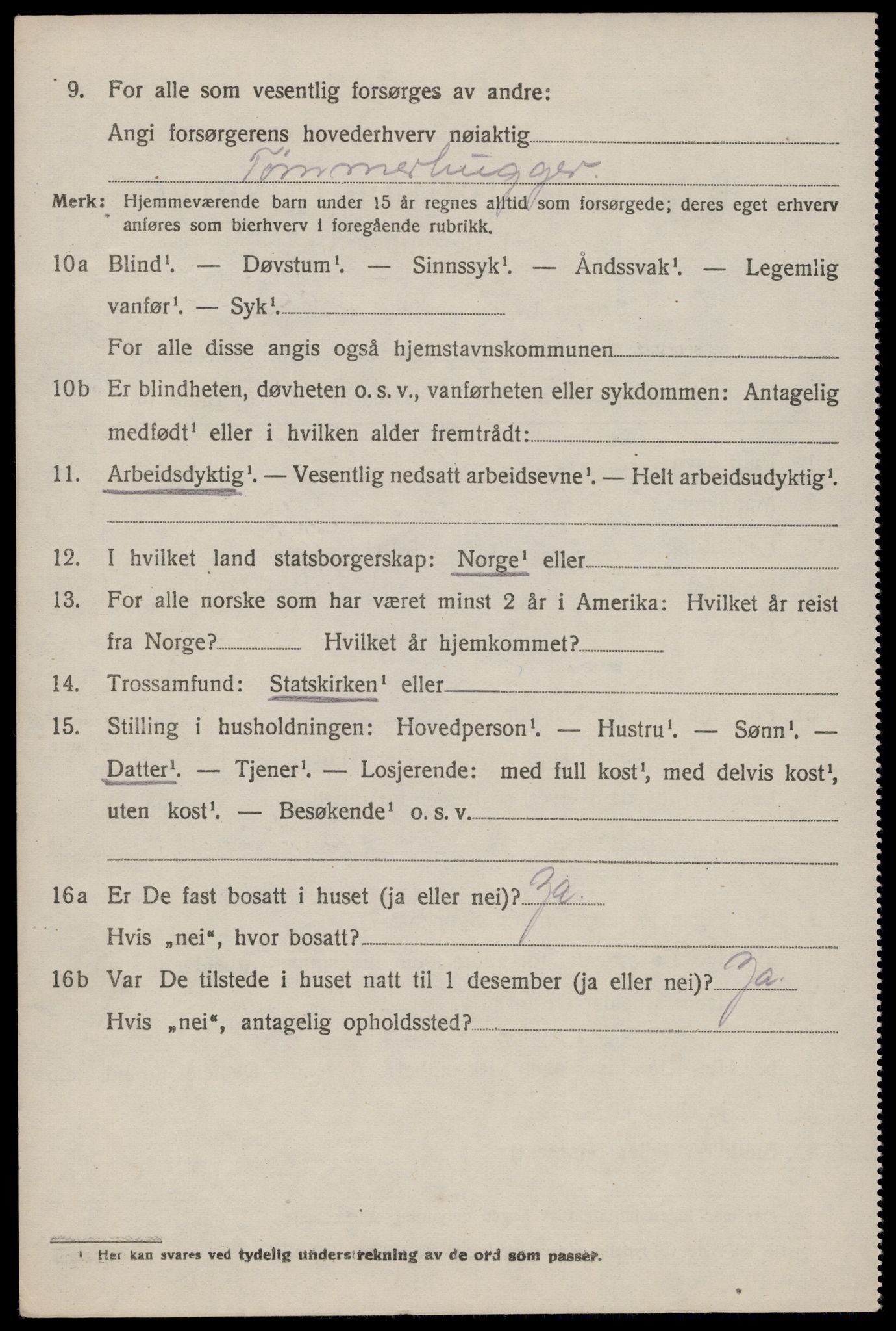 SAKO, 1920 census for Nissedal, 1920, p. 3886