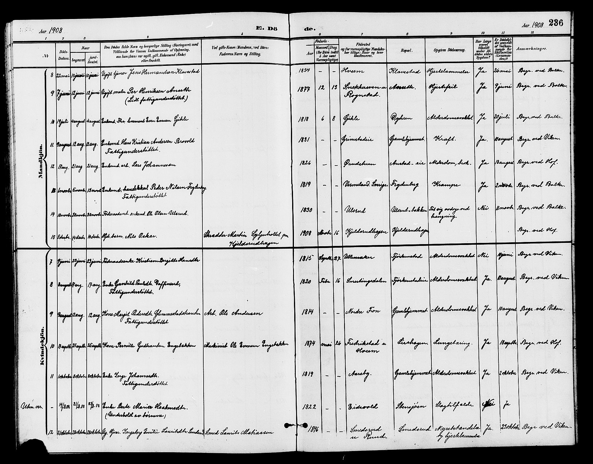 Østre Toten prestekontor, SAH/PREST-104/H/Ha/Hab/L0007: Parish register (copy) no. 7, 1901-1912, p. 236