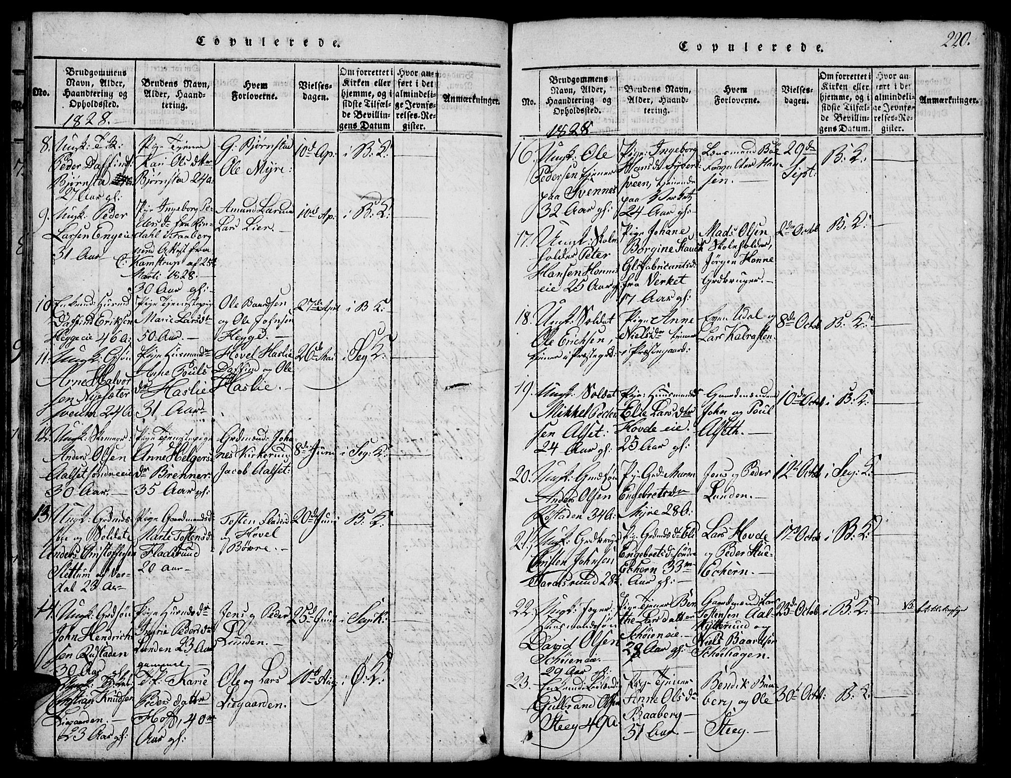 Biri prestekontor, SAH/PREST-096/H/Ha/Hab/L0001: Parish register (copy) no. 1, 1814-1828, p. 220