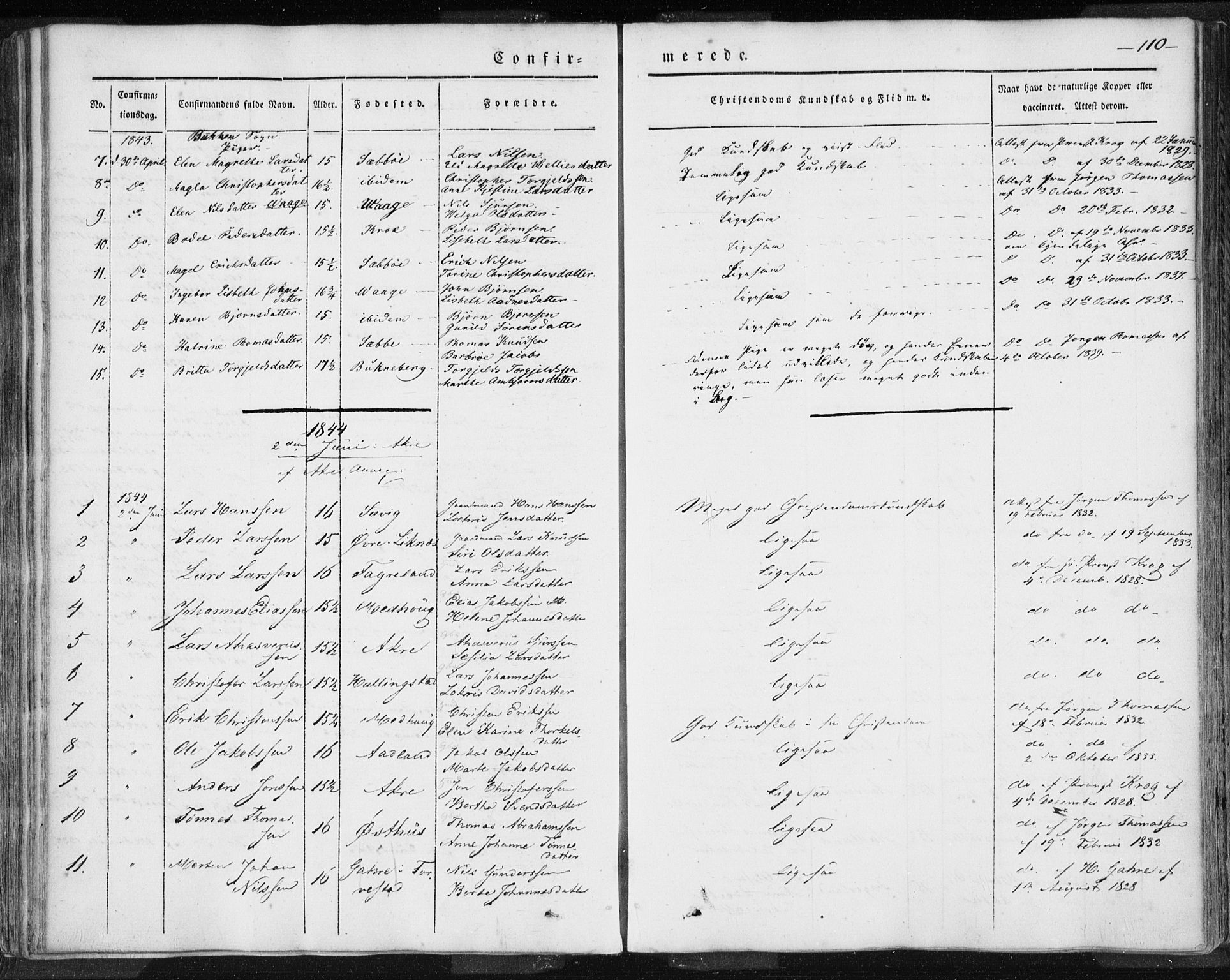 Skudenes sokneprestkontor, SAST/A -101849/H/Ha/Haa/L0002: Parish register (official) no. A 2.1, 1841-1846, p. 110