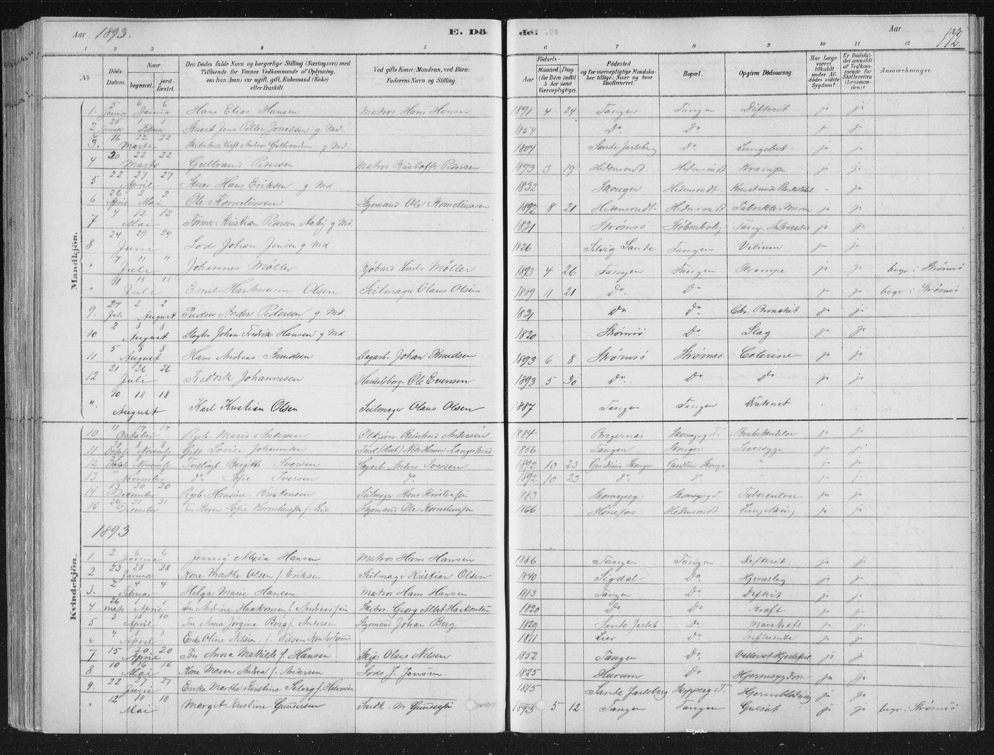 Strømsø kirkebøker, SAKO/A-246/F/Fb/L0005: Parish register (official) no. II 5, 1877-1902, p. 172