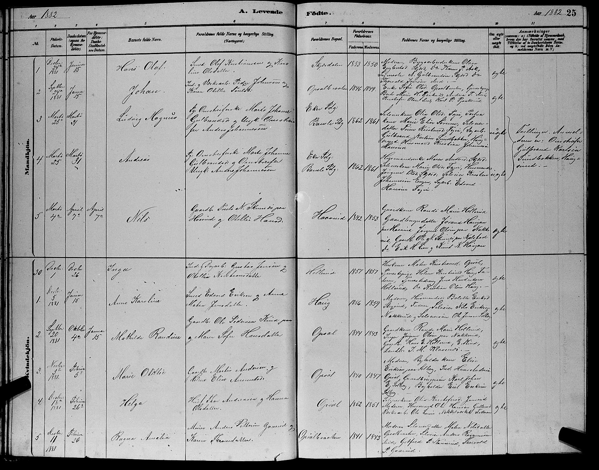 Hole kirkebøker, SAKO/A-228/G/Gb/L0002: Parish register (copy) no. II 2, 1878-1889, p. 25